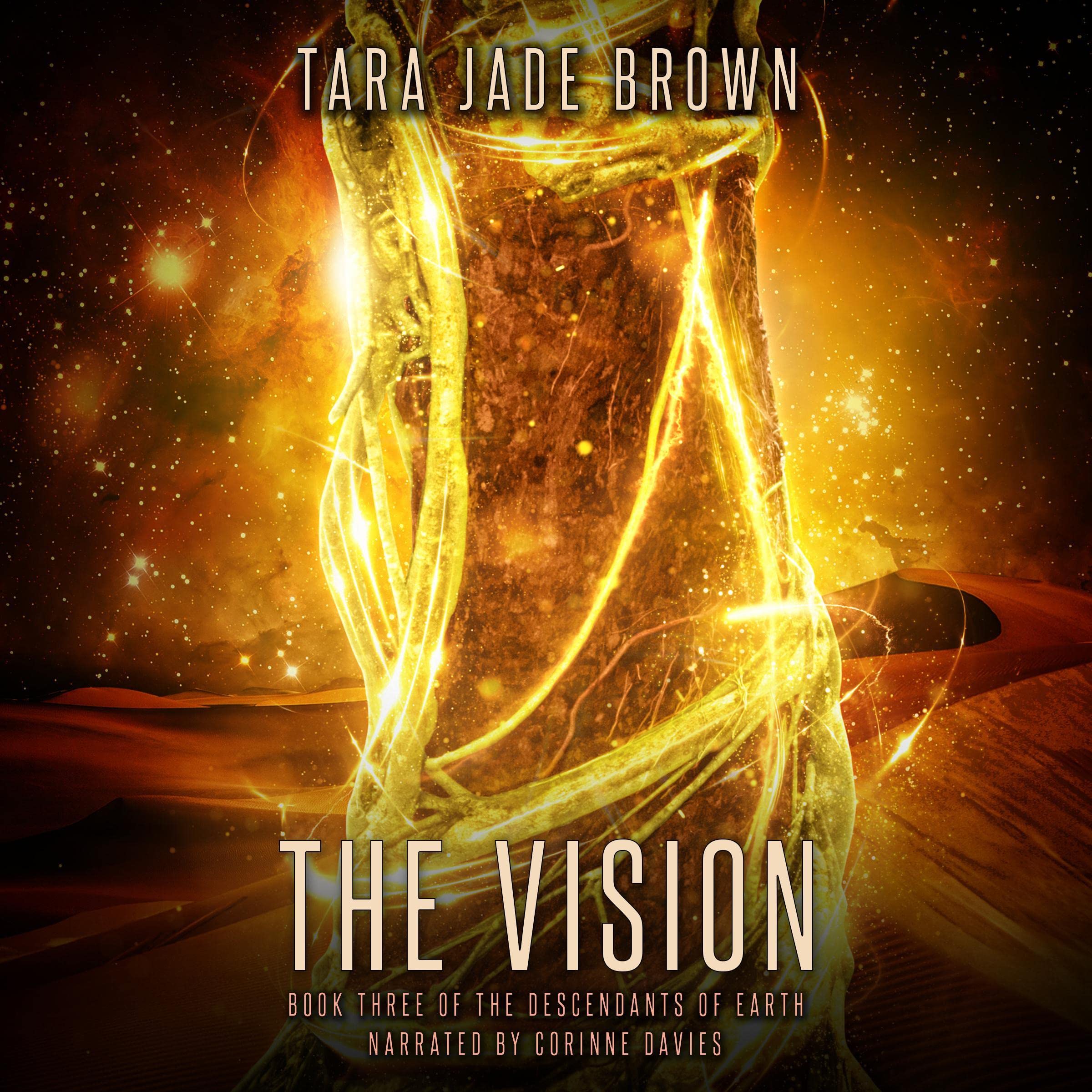 Cover art for The Vision