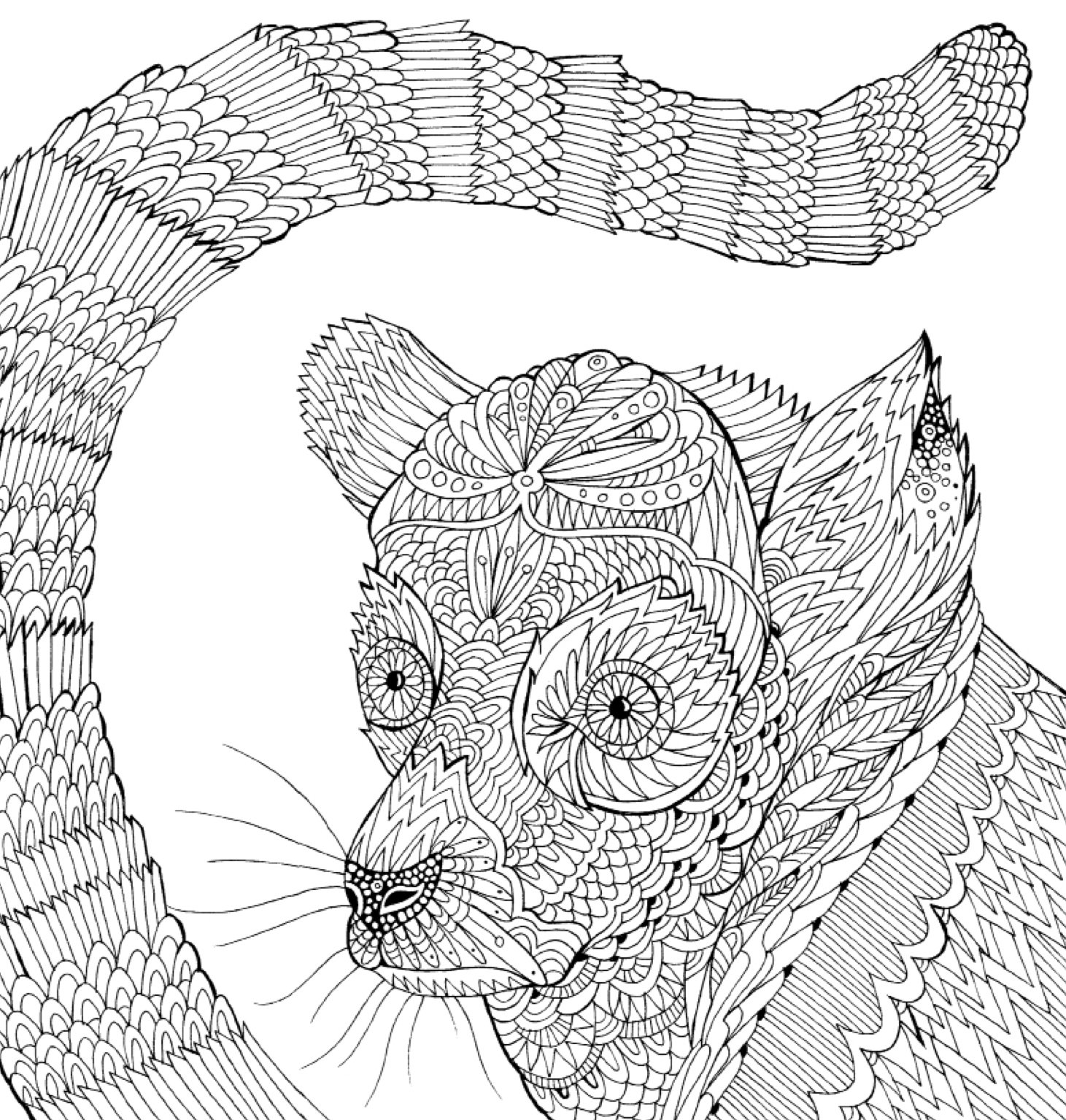 美しい模様の動物塗り絵 大人の塗り絵シリーズ Scully Claire Merritt Richard スカリー クレア メリット リチャード 本 通販 Amazon