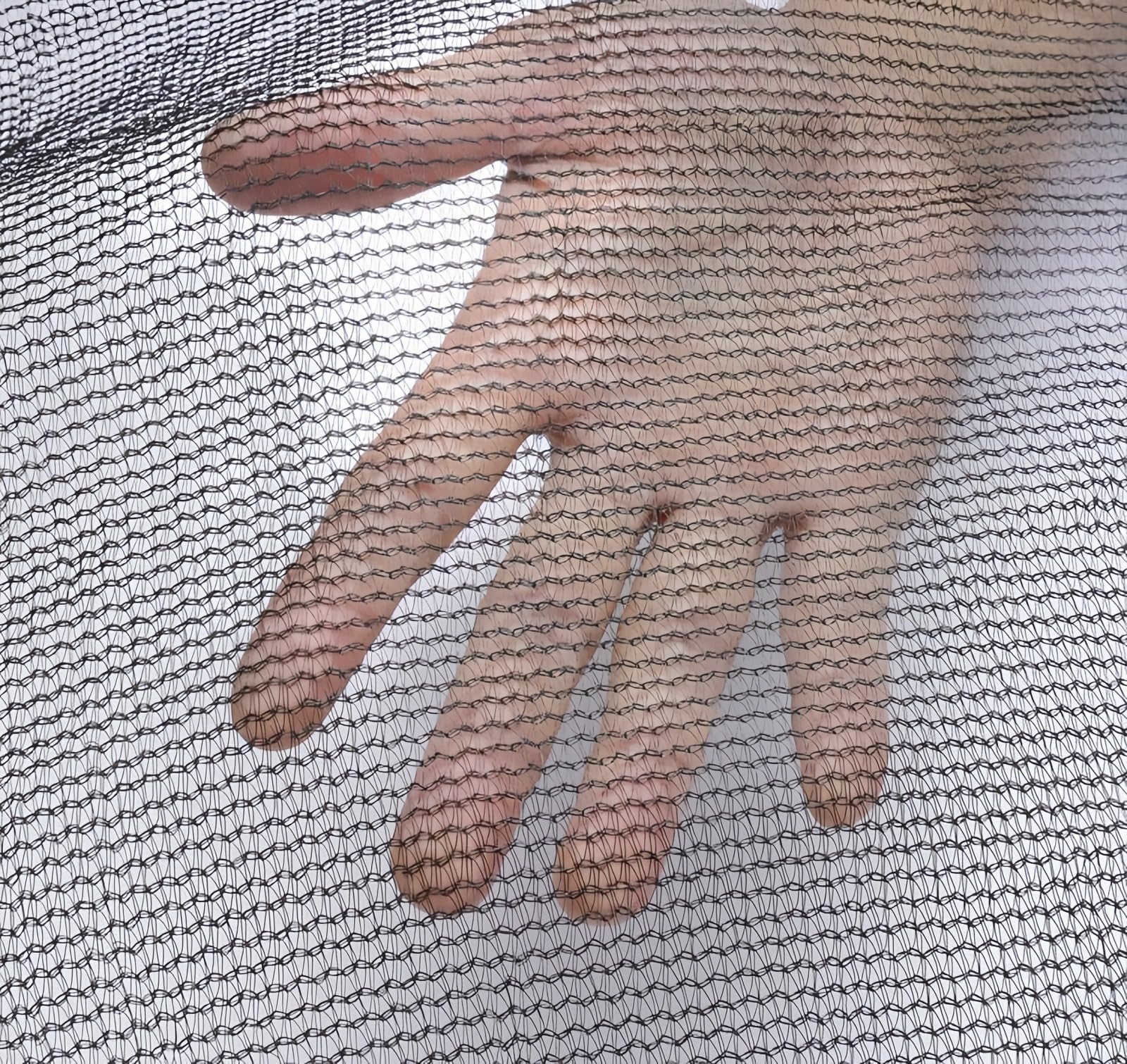 Filet de sécurité pour trampoline 244/305 /366 /427 cm, filet de rechange pour trampoline d'intérieur avec fermeture éclair et boucles, filet de protection pour trampoline de jardin, pour poteaux 6/8