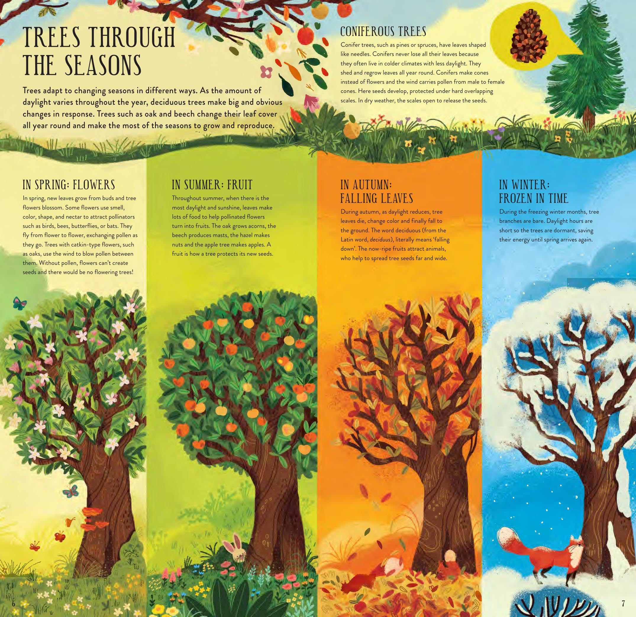 Make and Play: Build A Tree: Build a 30cm Oak Tree! Includes a 32-page Book and 40+ Model Pieces