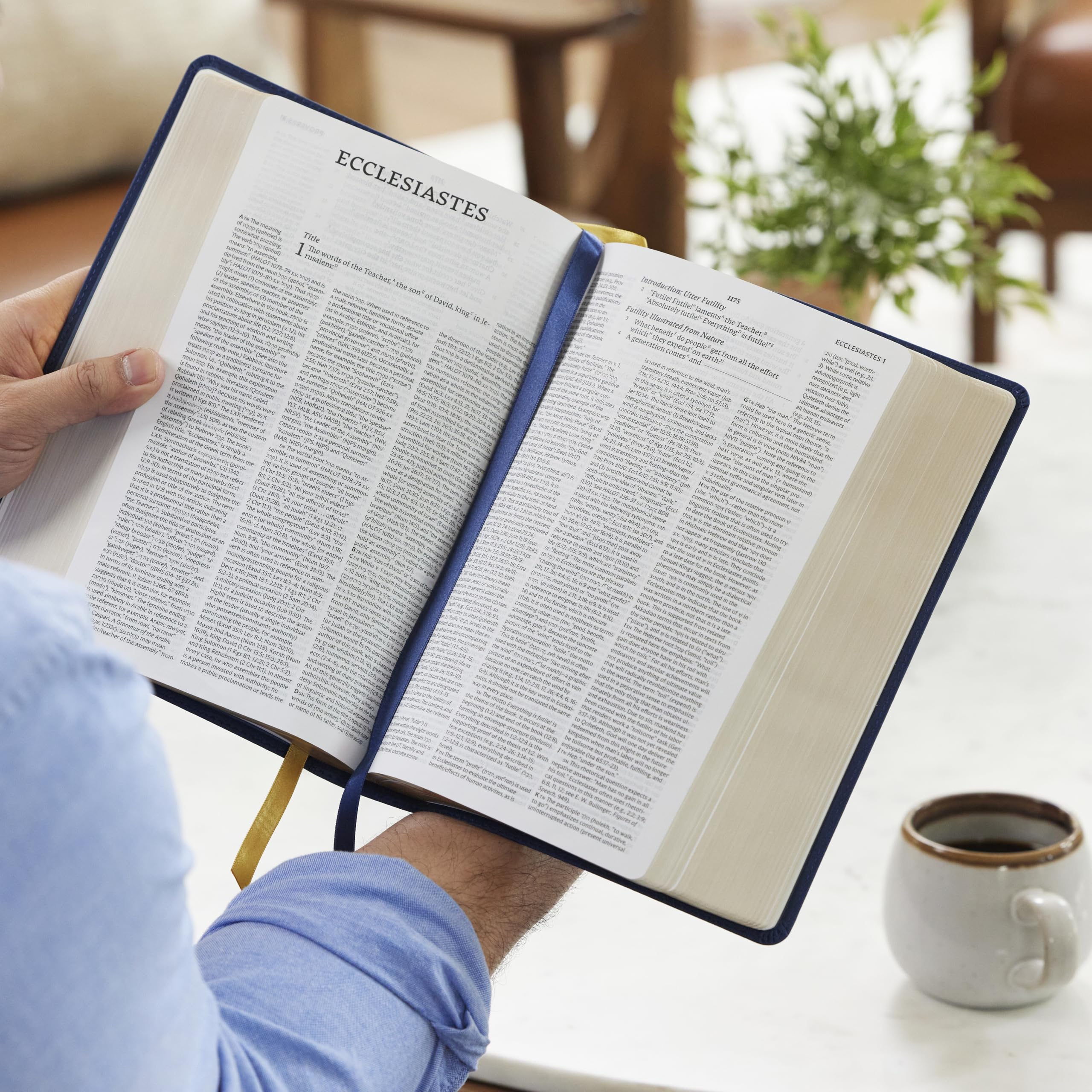 Net Bible, Full Notes Edition (Net, Blue Leathersoft, Comfort Print): Holy Bible