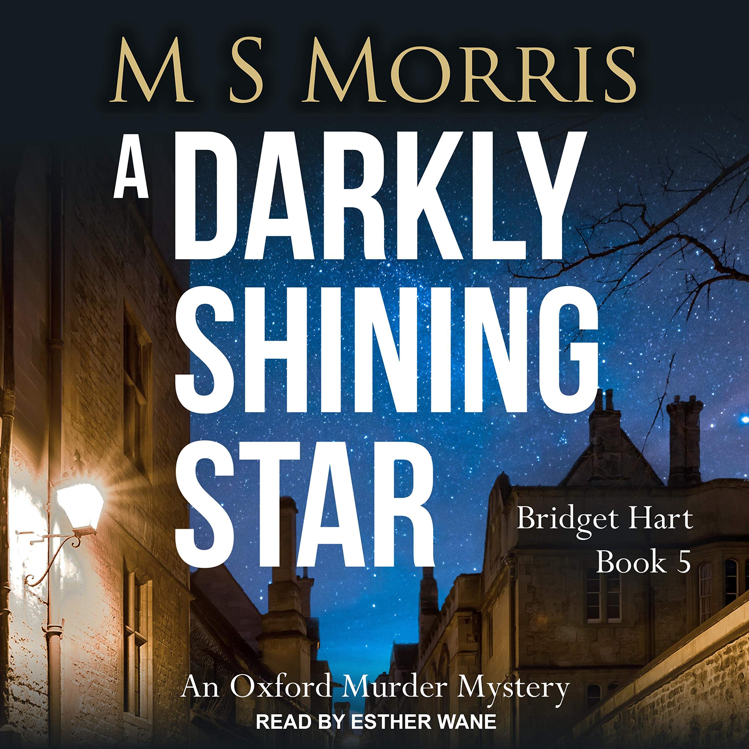 A Darkly Shining Star: An Oxford Murder Mystery (Bridget Hart Series, Book 5)