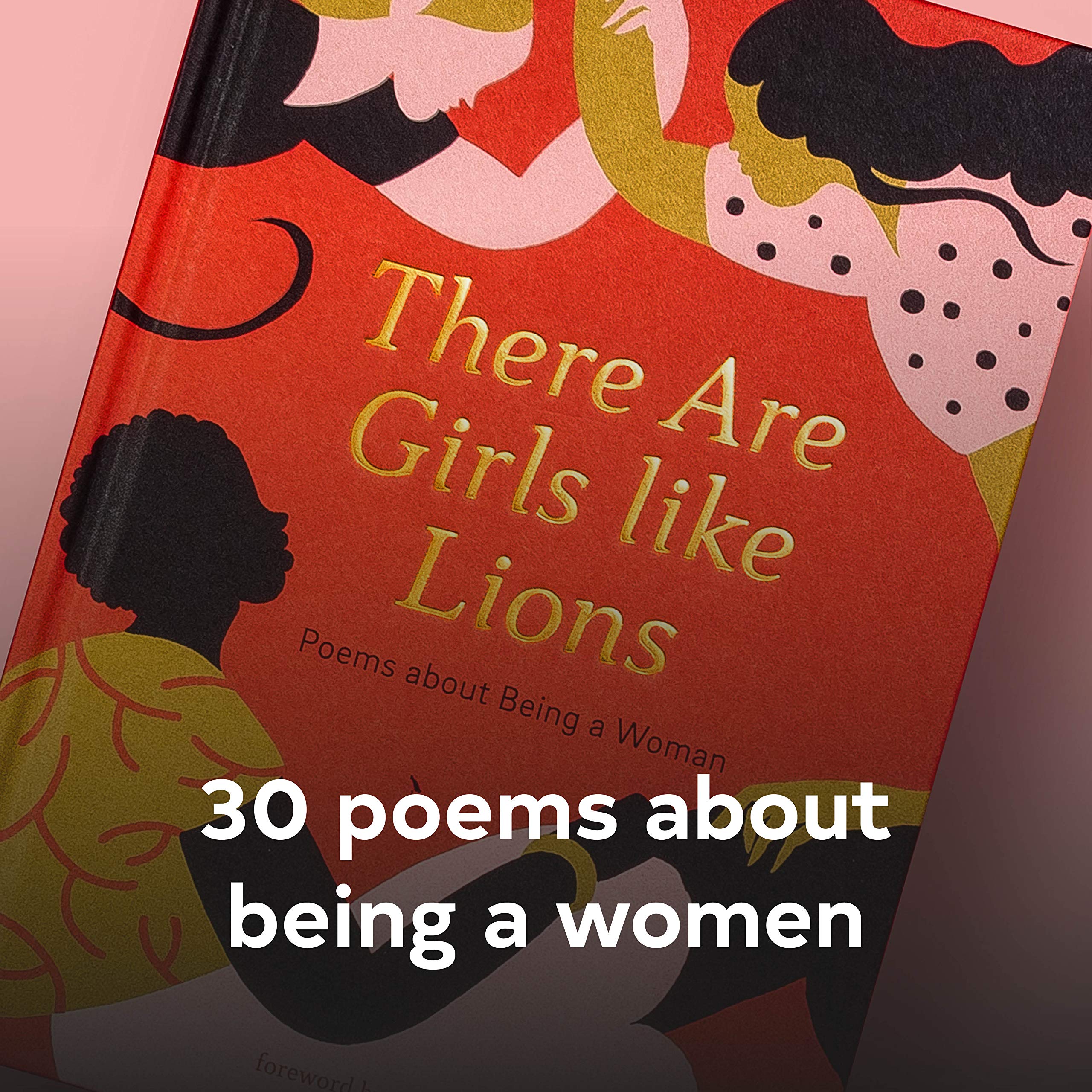 There are Girls like Lions: Poems about Being a Woman (Poetry Anthology, Feminist Literature, Illustrated Book of Poems) - Image 2