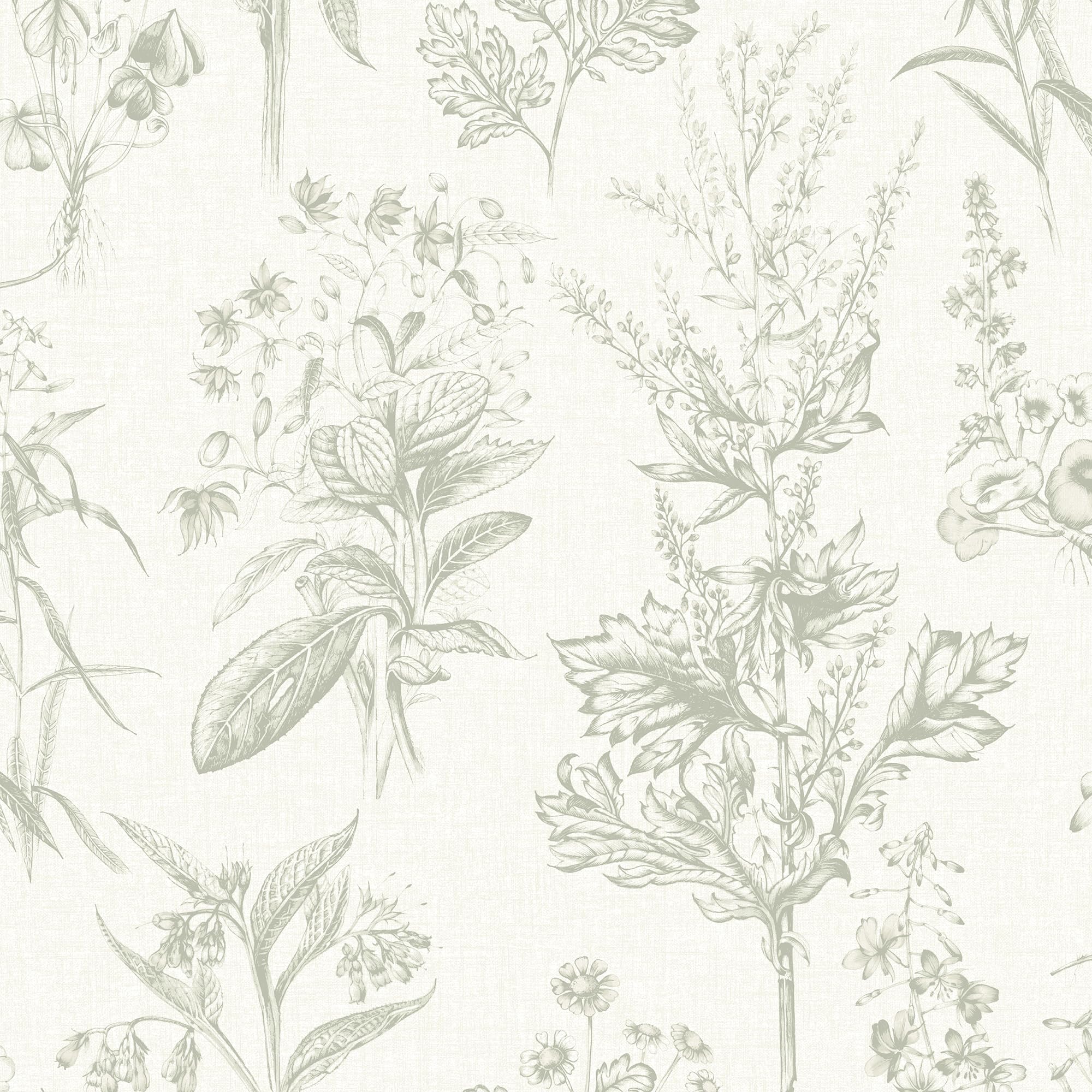 Superfresco Easy Herbarium Sage Wallpaper - Green - 10m x 52cm