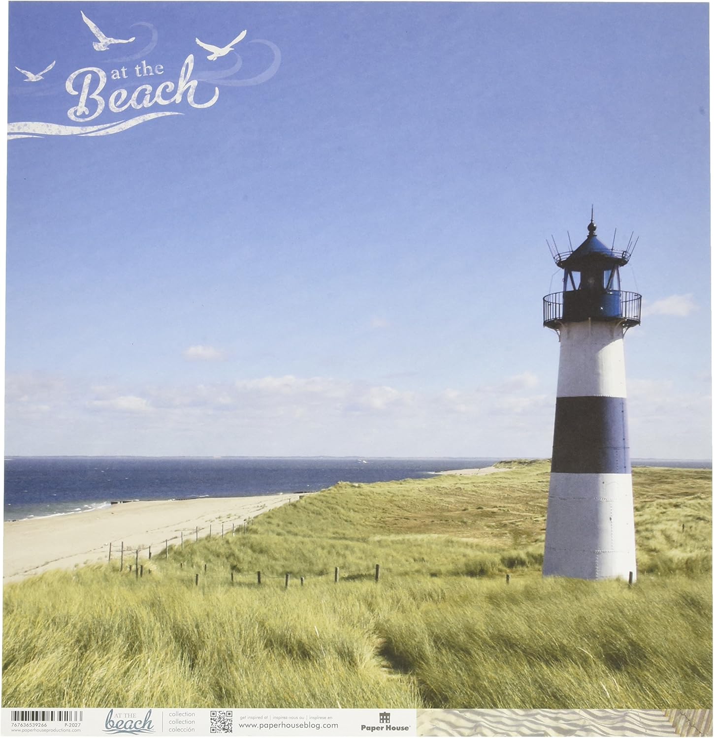 Paper House Productions P-2029E Double Sided Beach-Tags Paper (15 Pack), 12" : Arts, Crafts & Sewing