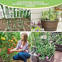 Vista 7 de Legigo Paquete de 6 jaulas de tomate para soporte de plantas de jardín, estacas de jardín de hasta 48 pulgadas, jaula de tomate para plantas