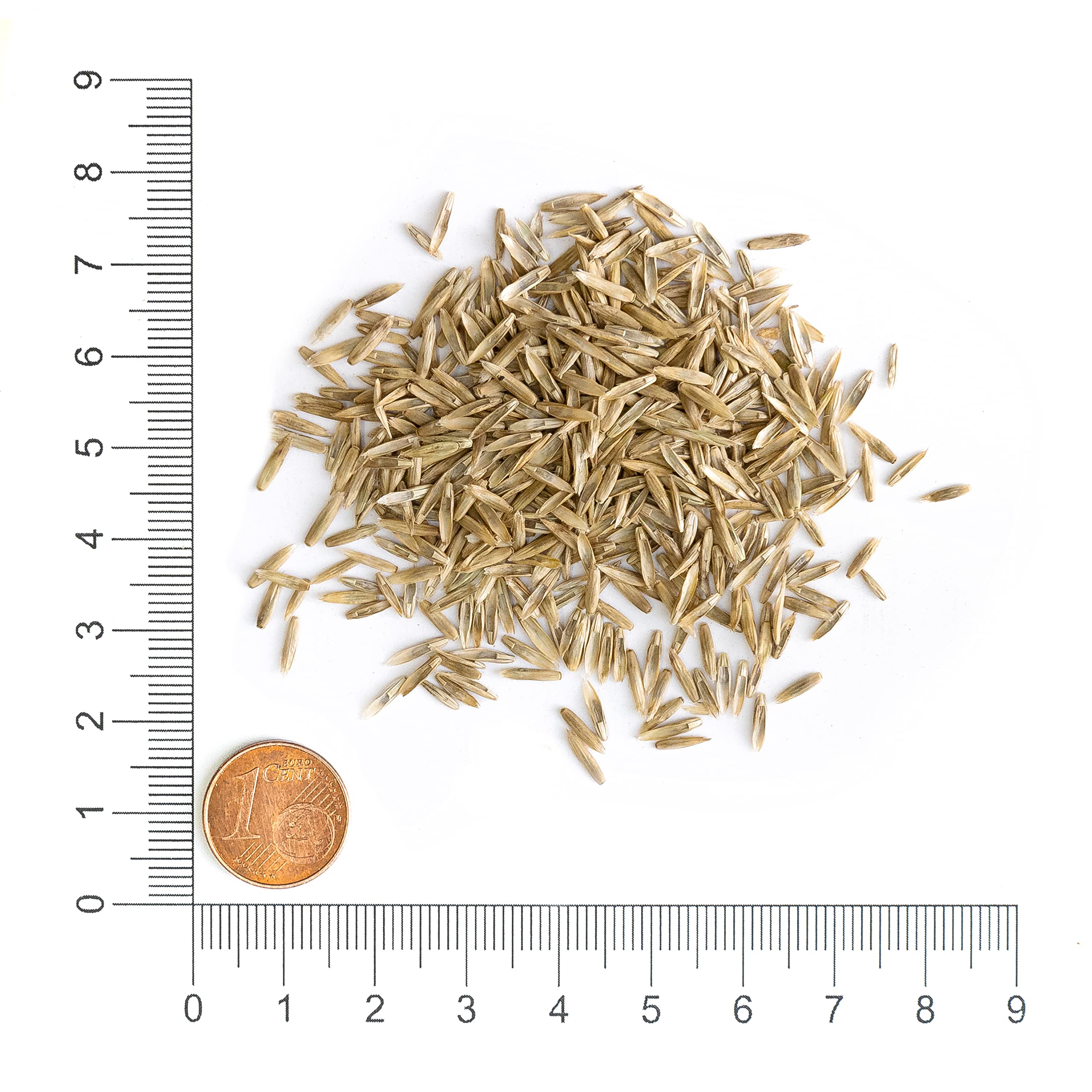 Krauterie Heublumen für Pferde, geschnitten (2000 g)