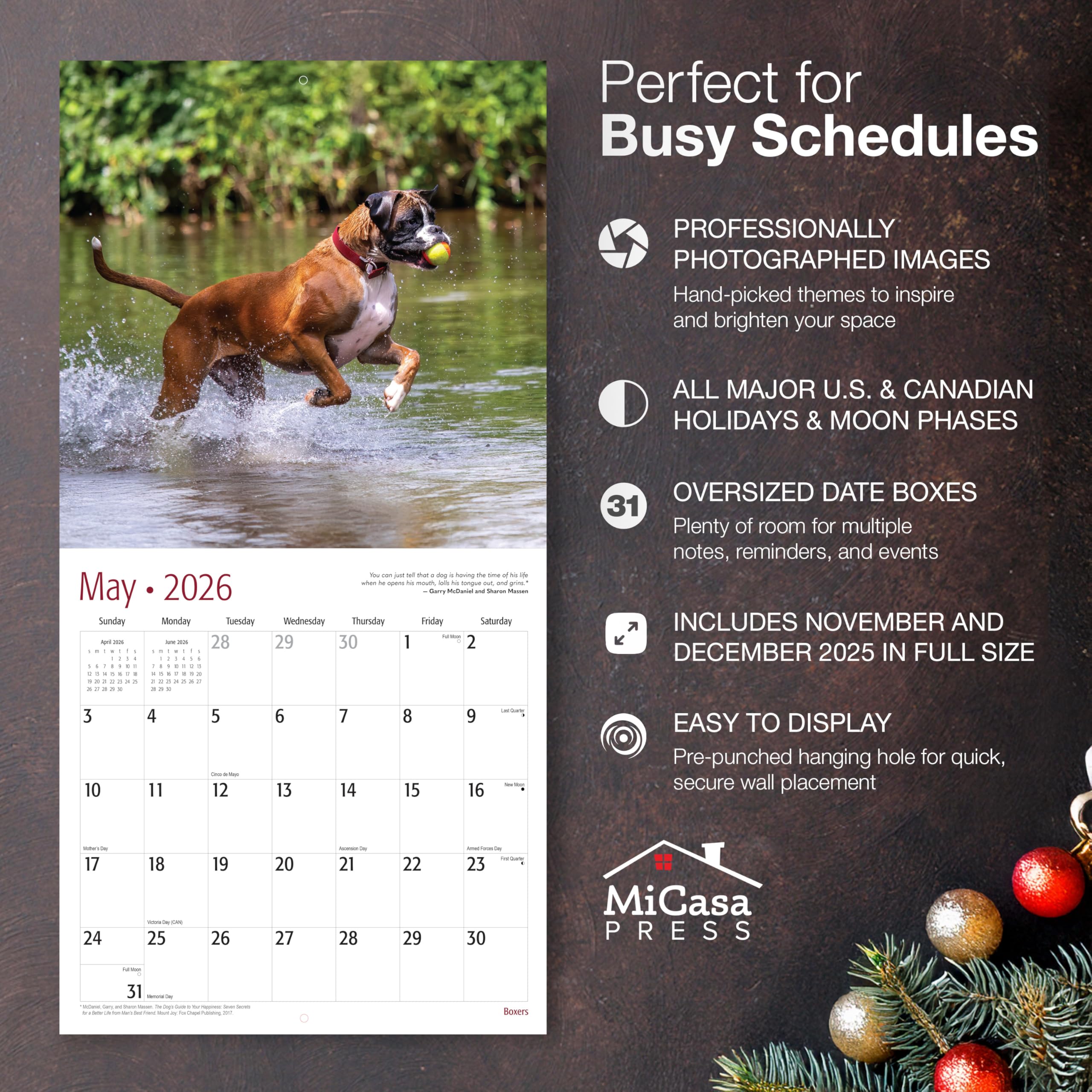 MICASA Boxers Wandkalender 2026, 12 Monate, 30,5 x 61 cm offen, dickes und stabiles Papier, Geschenk, Kalender 2026