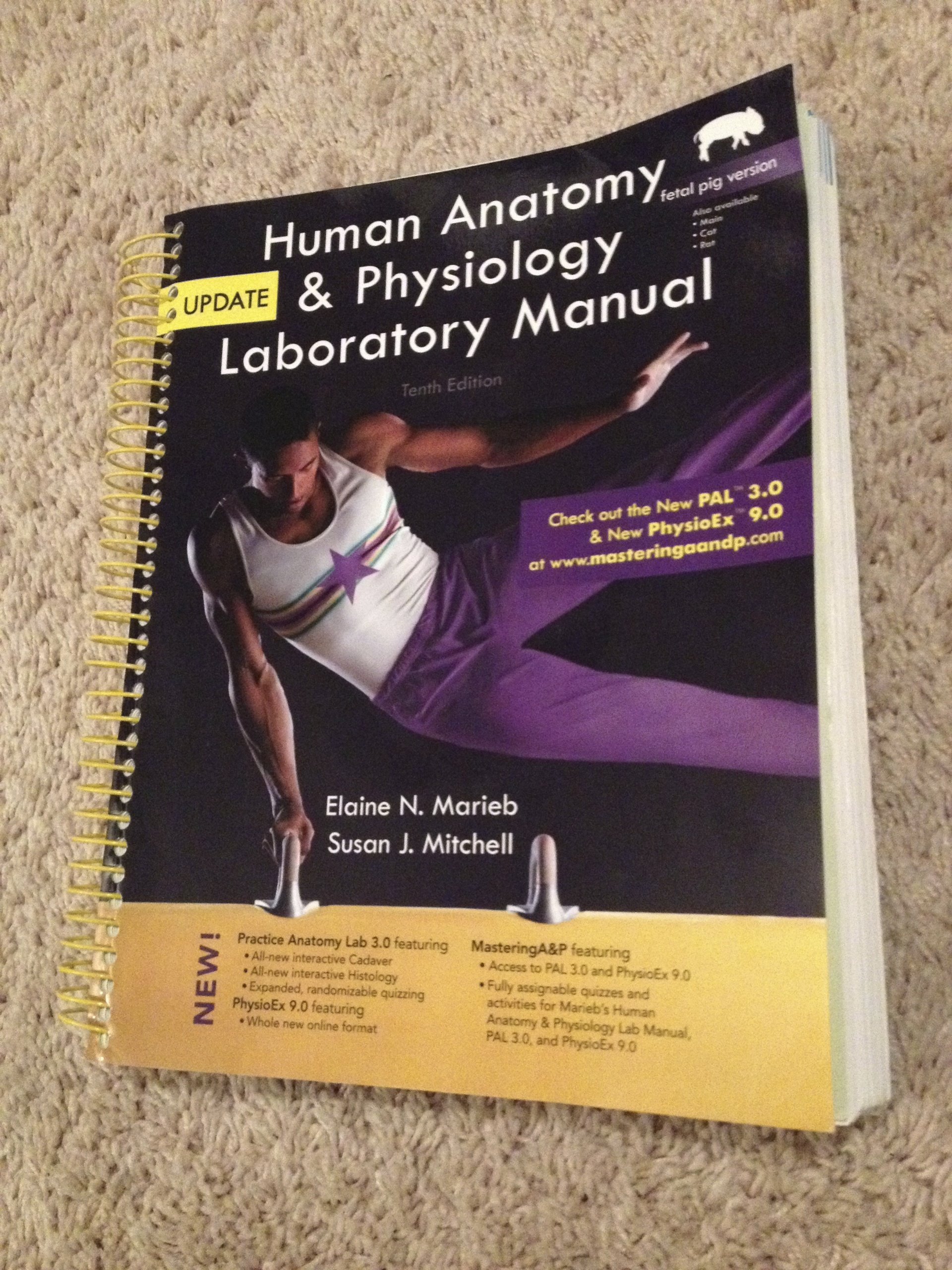 Human Anatomy & Physiology + PhysioEx 9.0 Laboratory Simulations in Physiology: Fetal Pig Version