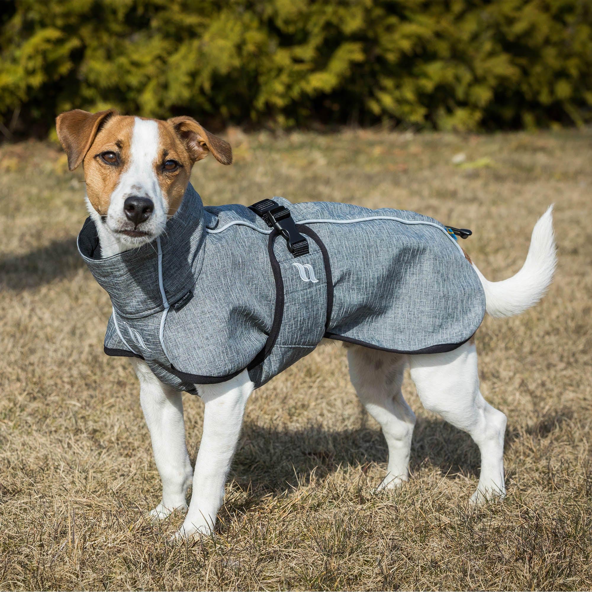 Back on Track Hundemantel Bark Allround grau (80 cm)