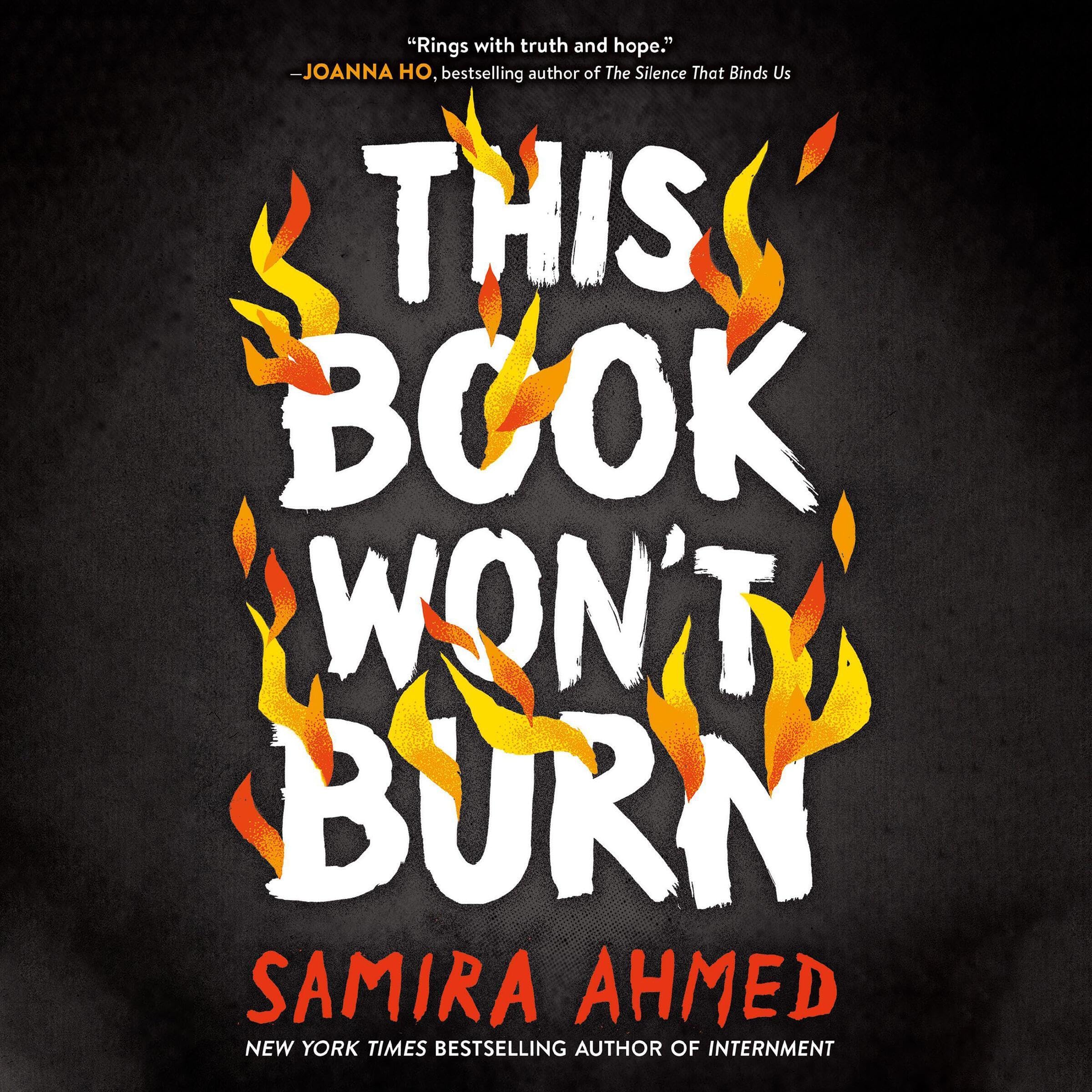 Cover art for This Book Won't Burn
