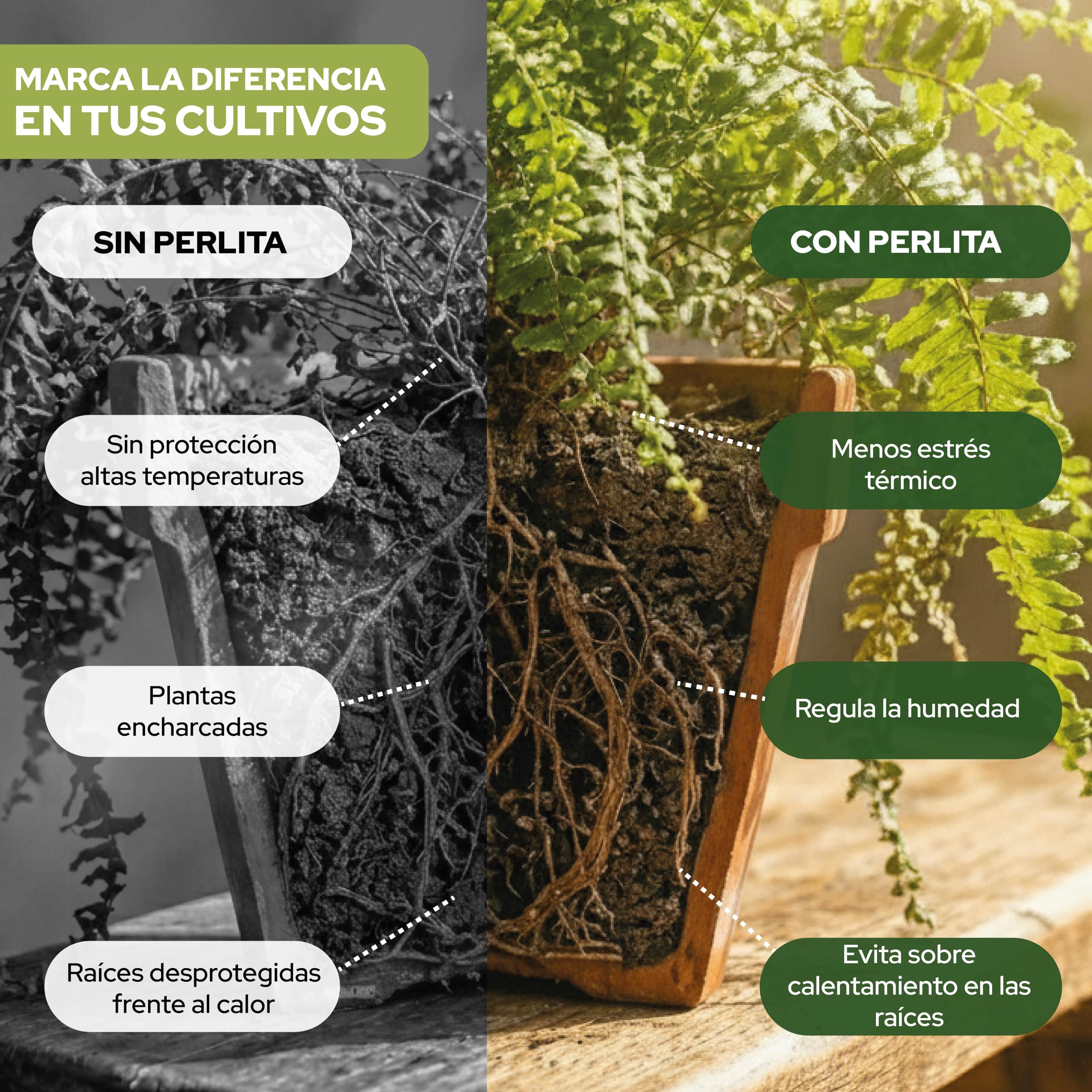 Control Garden Perlita 125 L | Tierra para Plantas y Cultivos Interior y Exterior | Sustrato Natural para Semillas | Fabricado en España