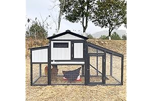 Chicken Coop and Rabbit Hutch for 5-6 Chickens