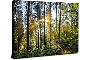 Framed Forest Wall Art: Capture the Serenity of Nature's Embrace