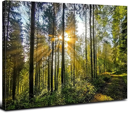 Arte de pared de naturaleza verde para sala de estar, paisaje forestal, lienzo, cuadros de 12 x 16 pulgadas, vintage, amanecer, árbol, montaña,