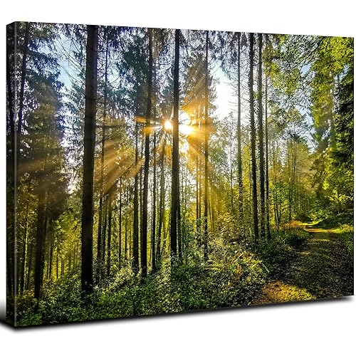 Framed Forest Wall Art Nature Wall Decor Living Room Sunrise Green Trees Scenery Pictures Photo Mountain Landscape Prints Painting Tropical Artwork for Bedroom Kitchen Office Home Decorations 12x16”