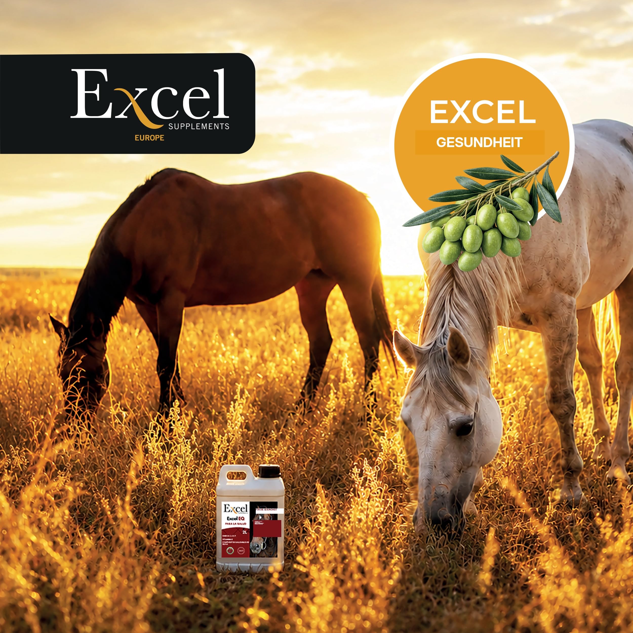 5L Excel EQ Pferdefutteröl - Pferdefuttersupplement - Omega-3-Kamelinaöl mit entzündungshemmender Wirkung für natürlichen Glanz und Pflege des Pferdefells