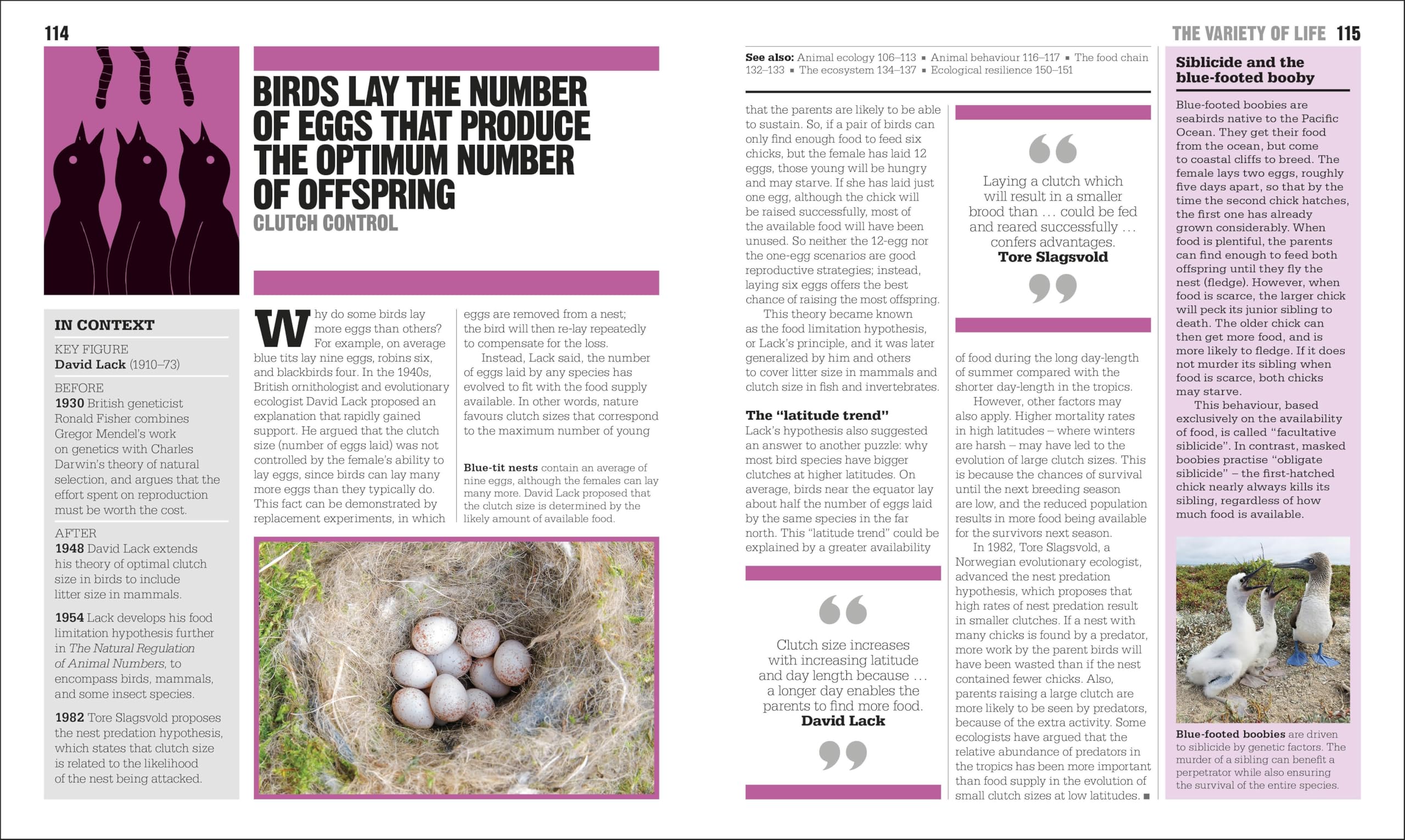 The Ecology Book: Big Ideas Simply Explained