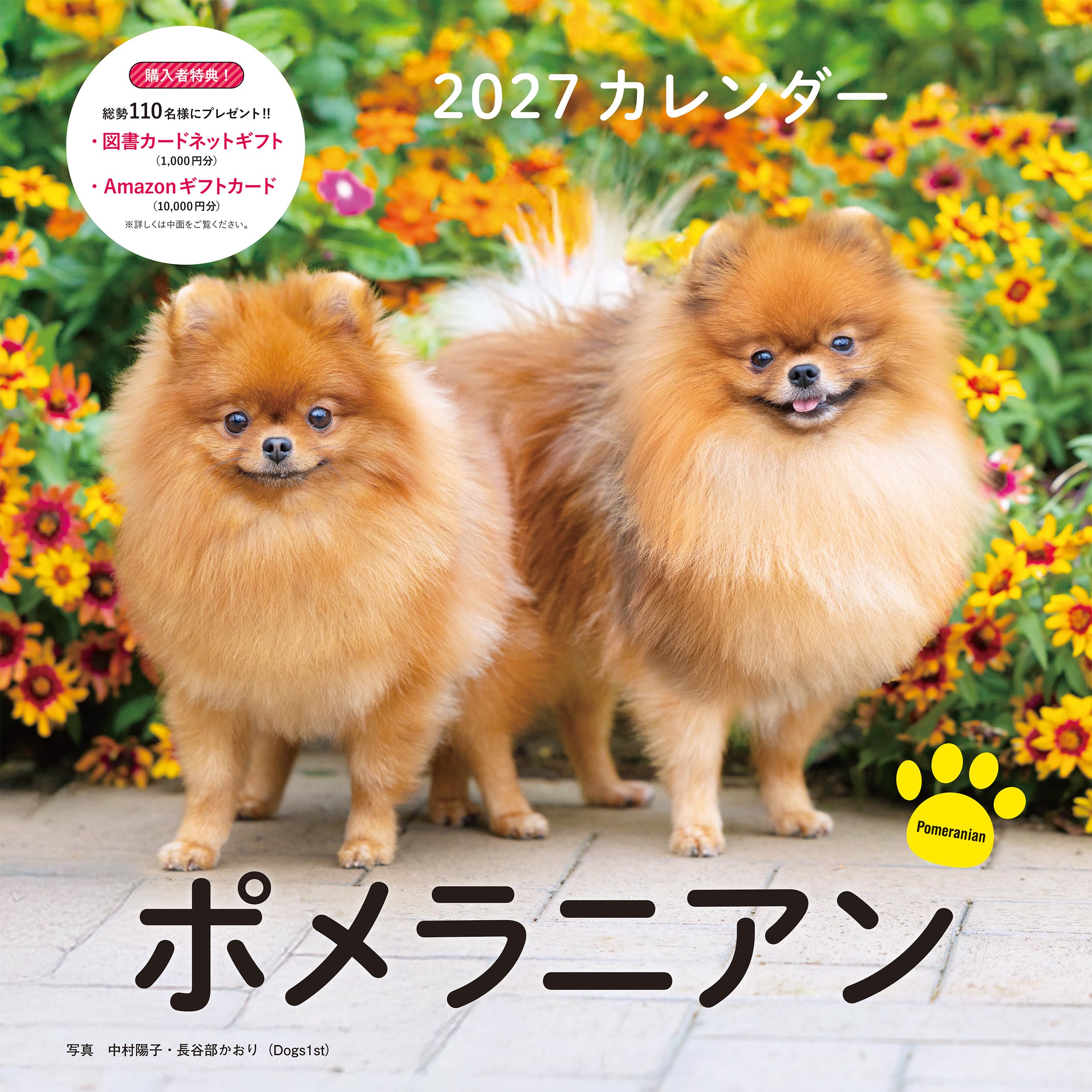 2027年カレンダー ポメラニアン（誠文堂新光社カレンダー） | 中村
