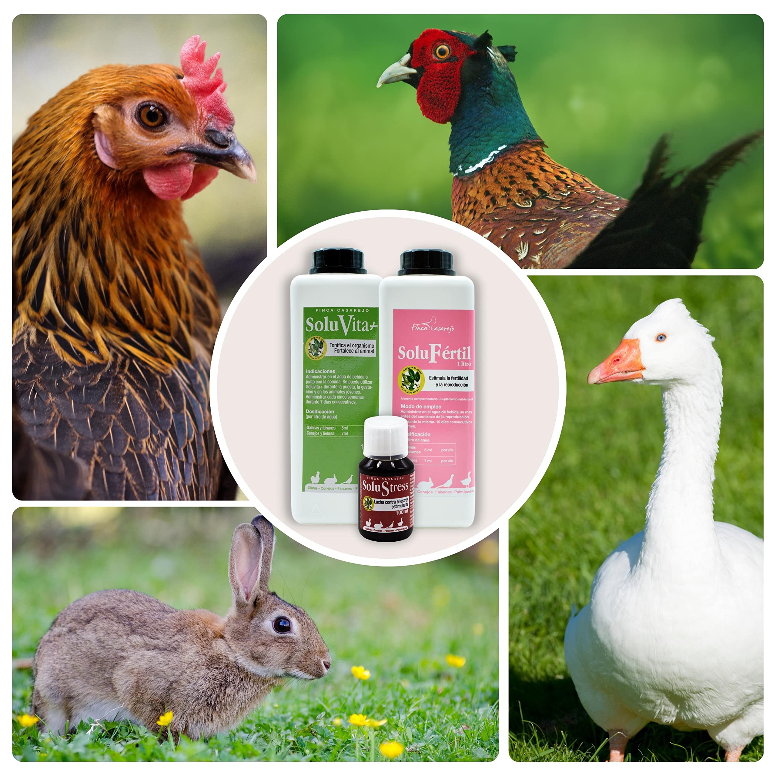 FINCA CASAREJO Estimula la fertilidad de Las Aves de Corral - Productos Naturales para la época de cría de gallinas, Patos y Otras Aves - Pack de 3 soluciones vitamínicas (1 litro) - Ref. SLPCK3L