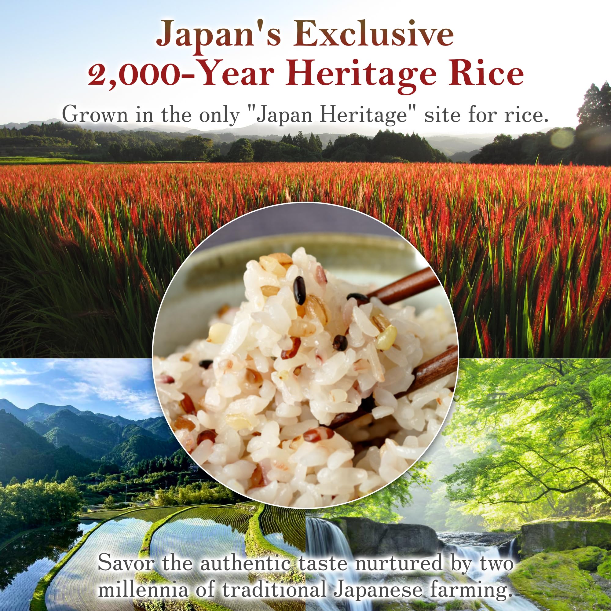 Amazon.com : Multigrain rice 2.2 lbs from Kumamoto, Japan