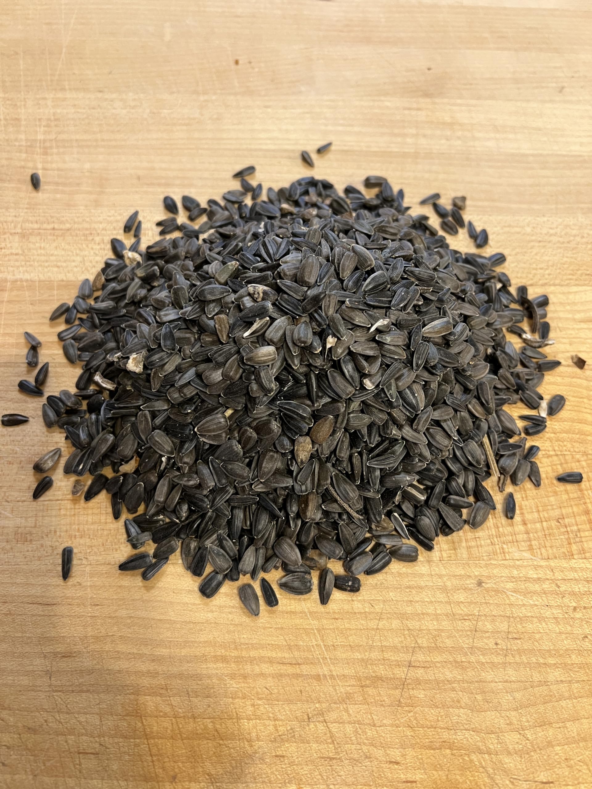 Amazon.com : Black Oil Sunflower Seeds Non GMO for Planting or Sprouting  One Pound Apprx 1200 Seeds : Patio, Lawn & Garden