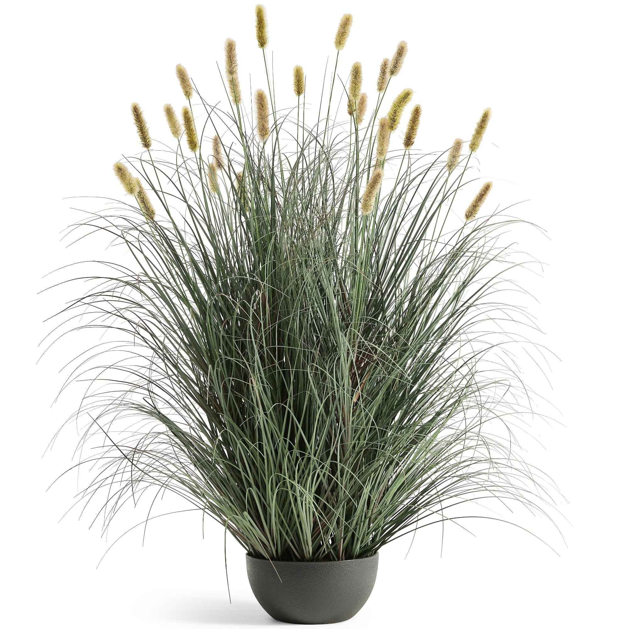 FloraFairy Onion Grass
