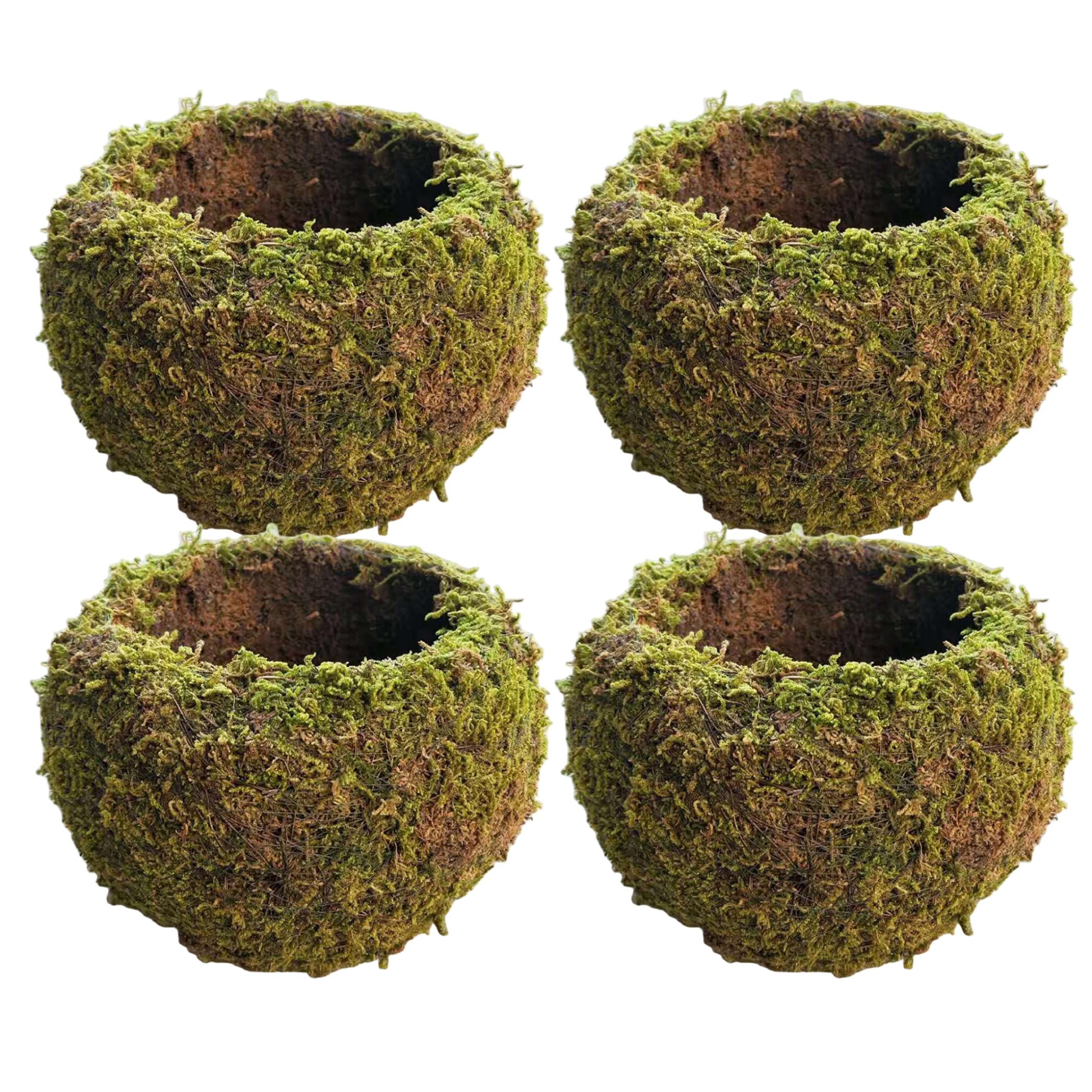 Bemonew Moss Balls Decorative, 4PCS Natural Plant Pots Round Bonsai Planter for Home, Garden, Office, 6 Inch, Green