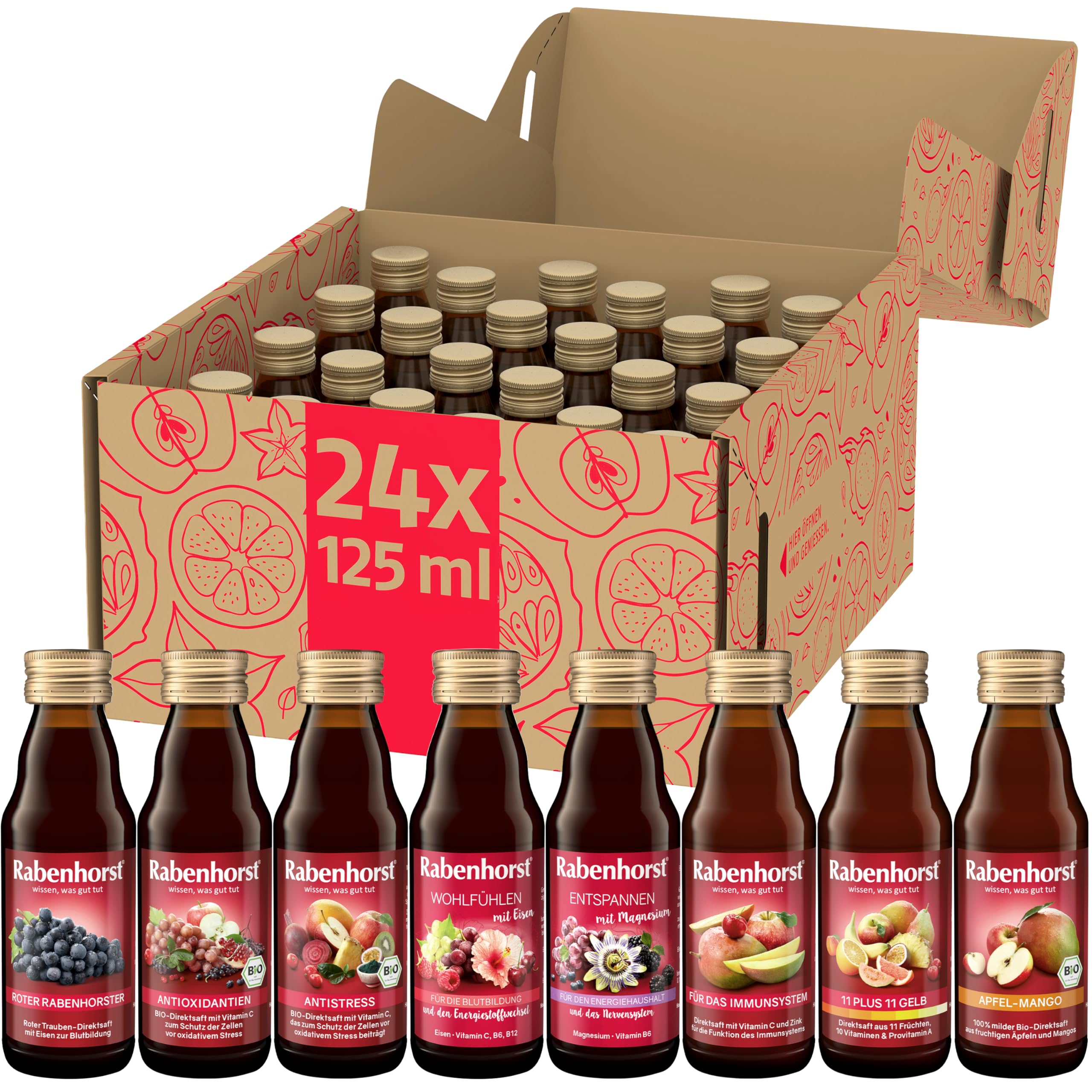 Rabenhorst Probierpaket Mini, 8 Sorten à 3 Flaschen (24 x 125 ml), 3 l (24er Pack)