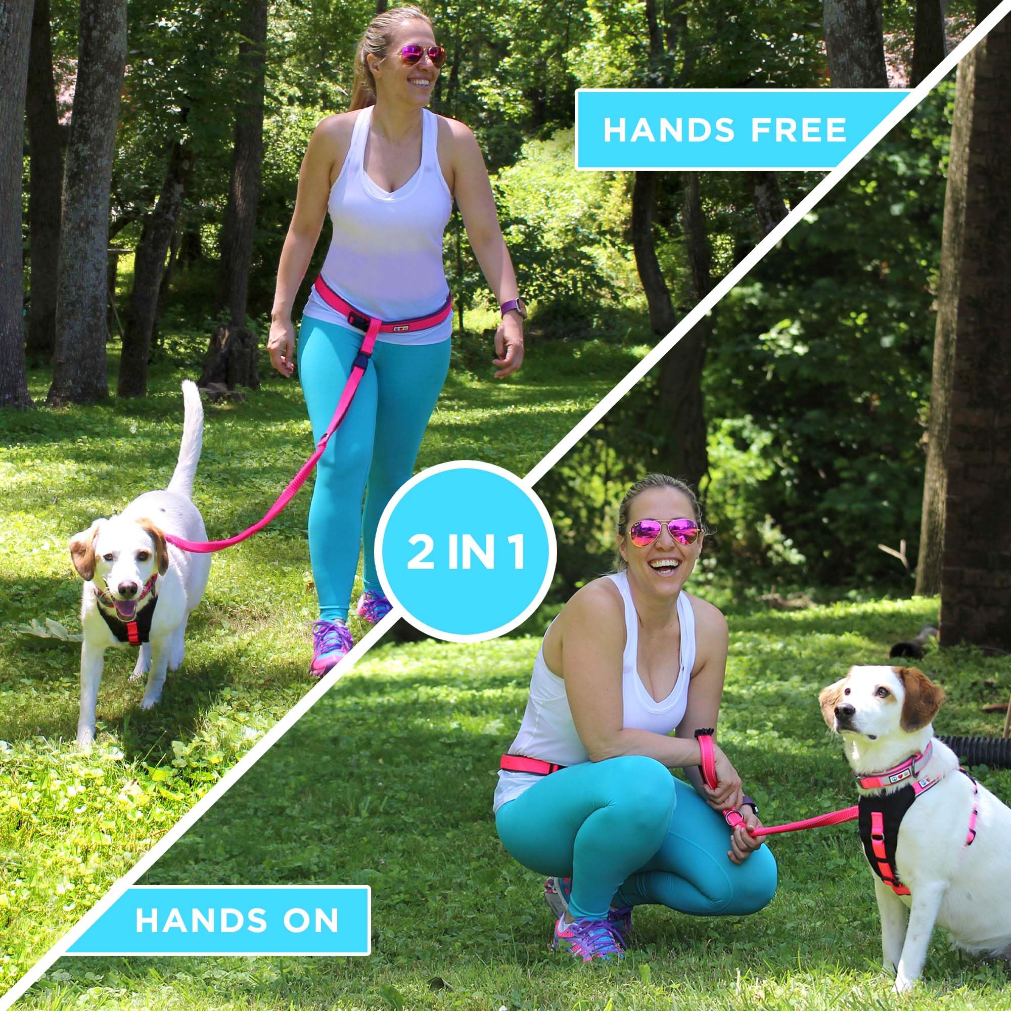 Pawtitas Hands Free Dog Leash Running Leash for Dogs, Teal