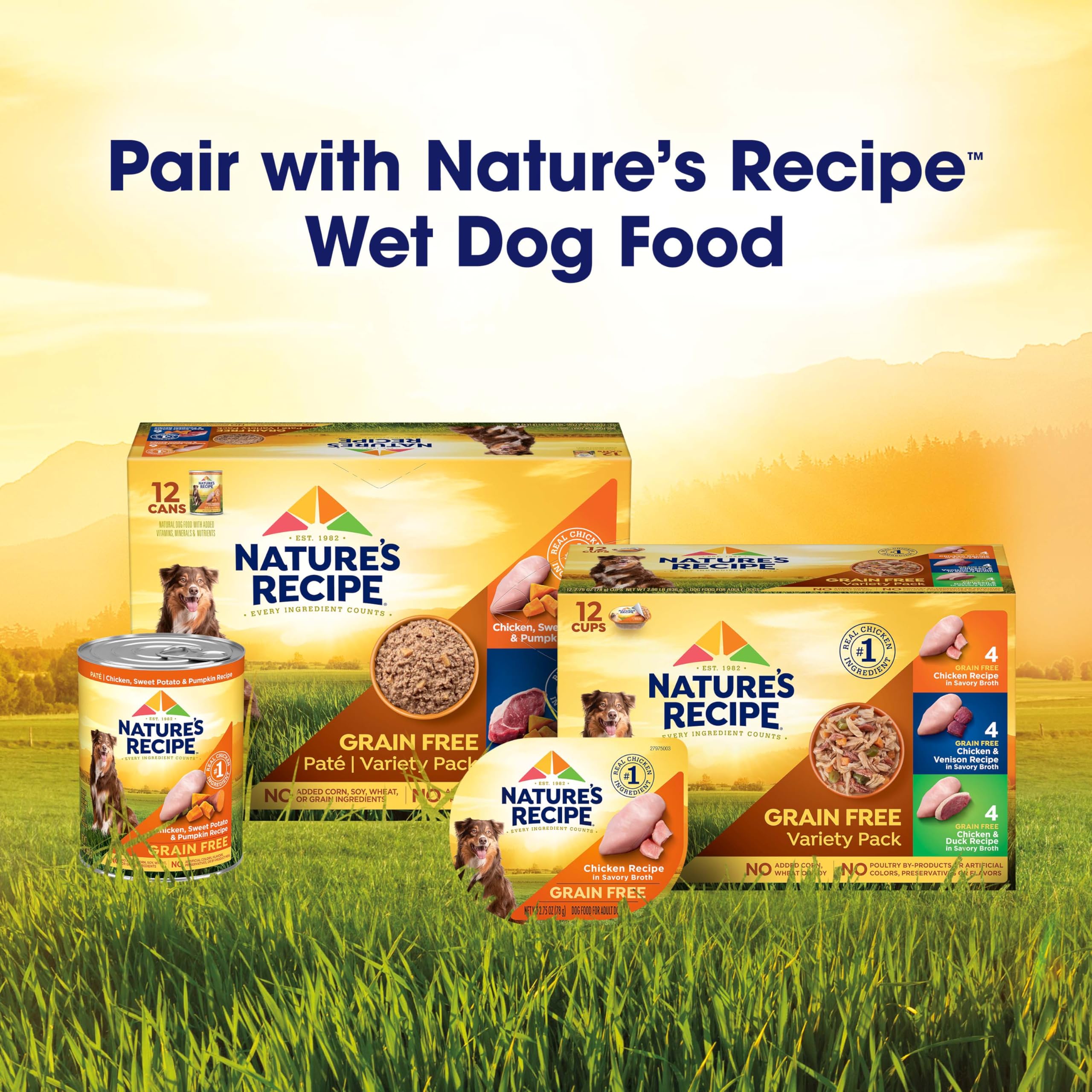 Nature's Recipe Grain Free Small Breed Easy to Digest Real Chicken Dog Food 4lbs