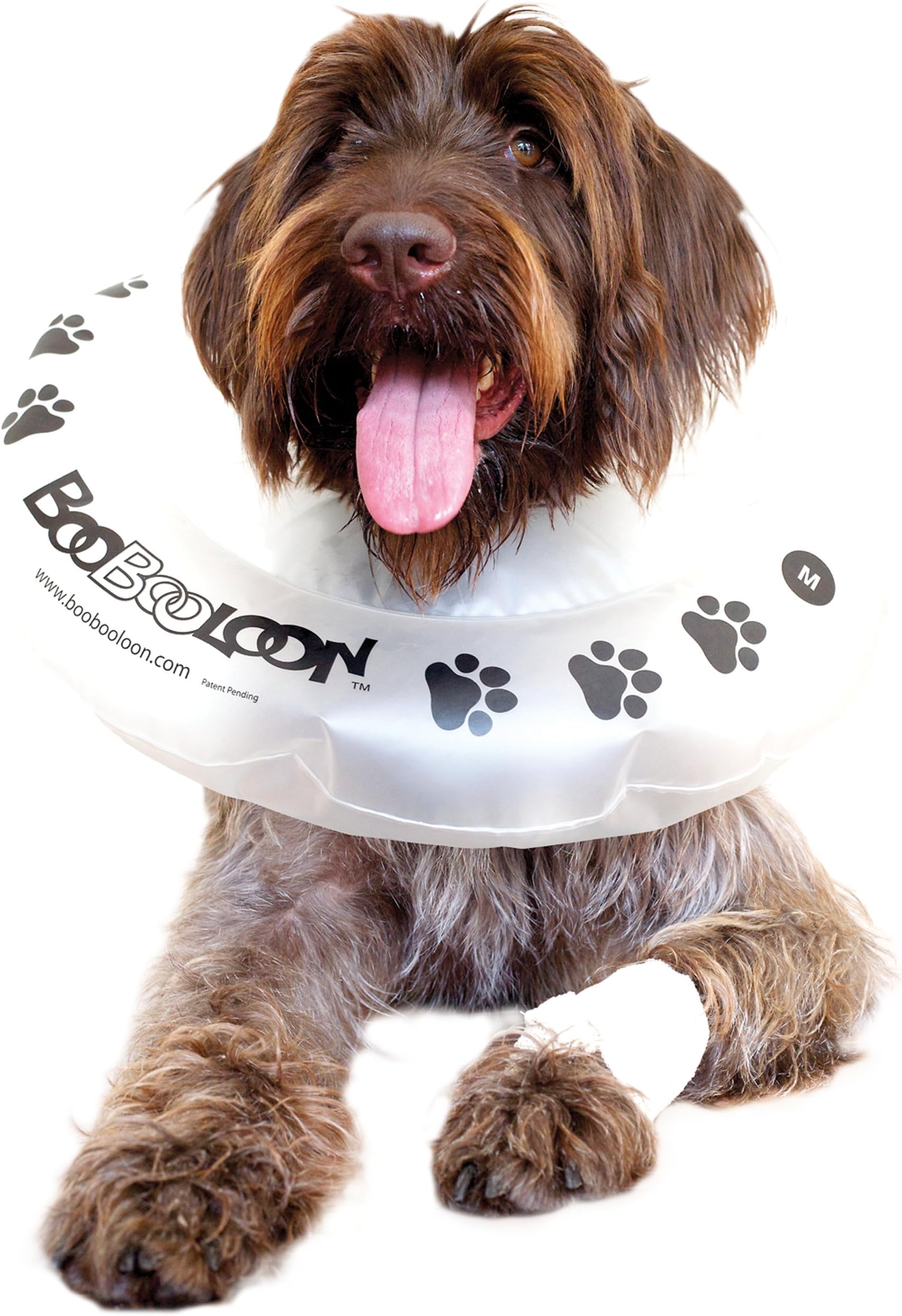 Inflatable Pet Recovery Collar 1 Medium Size