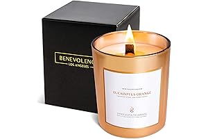 Benevolence Candles Eucalyptus Orange Scented Wood Wick Candles for Women and Men