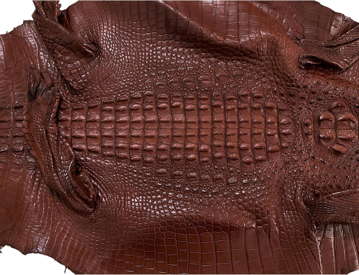 vinacreations] ワニ革 レザー クロコダイル レザークラフト 天然素材