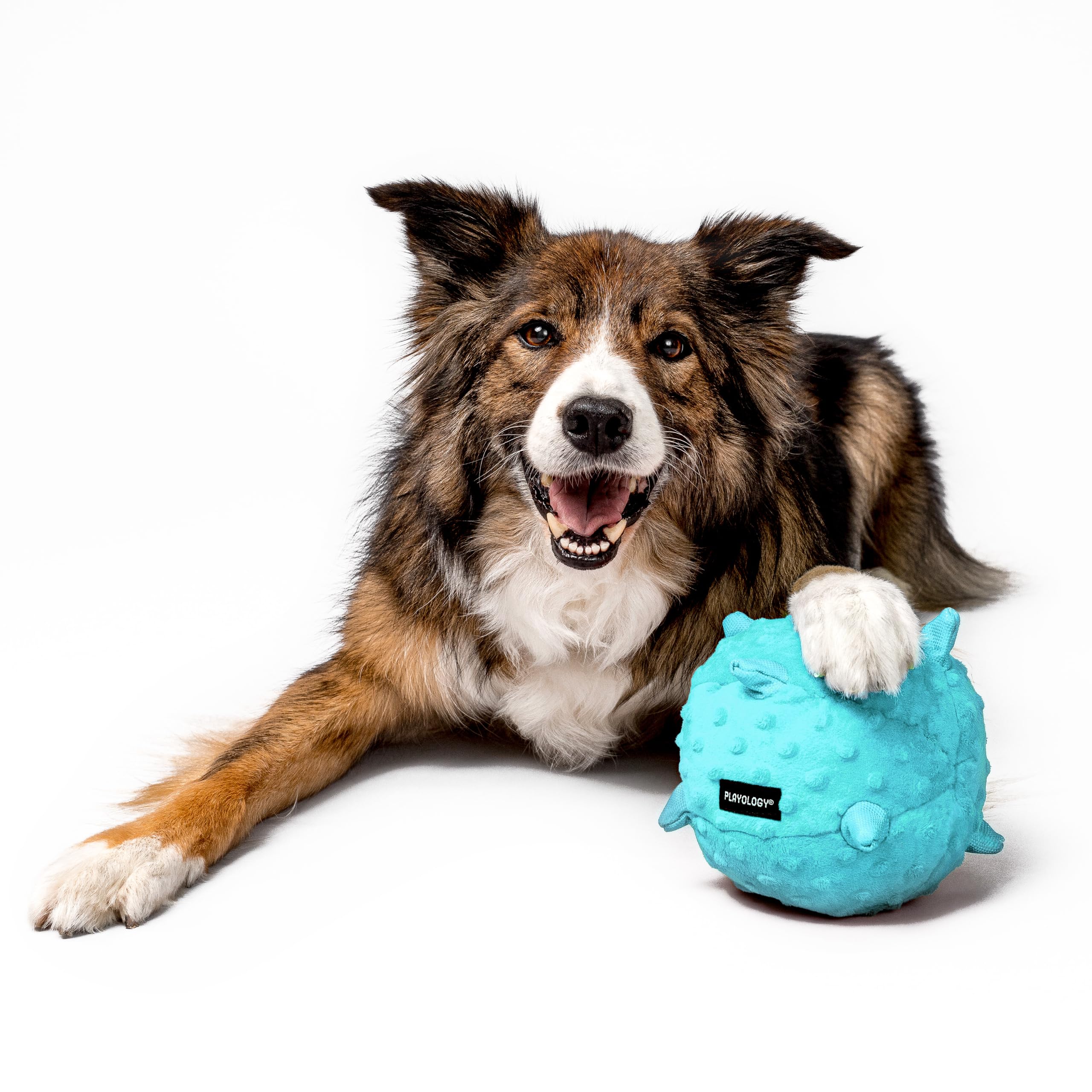 Playology Hundespielzeug für Welpen, für sensorische Entwicklung, groß – gefülltes Kauspielzeug mit Quietscher für Welpen 8-16 Wochen – fesselndes rein natürliches Erdnussbutter duftendes Spielzeug