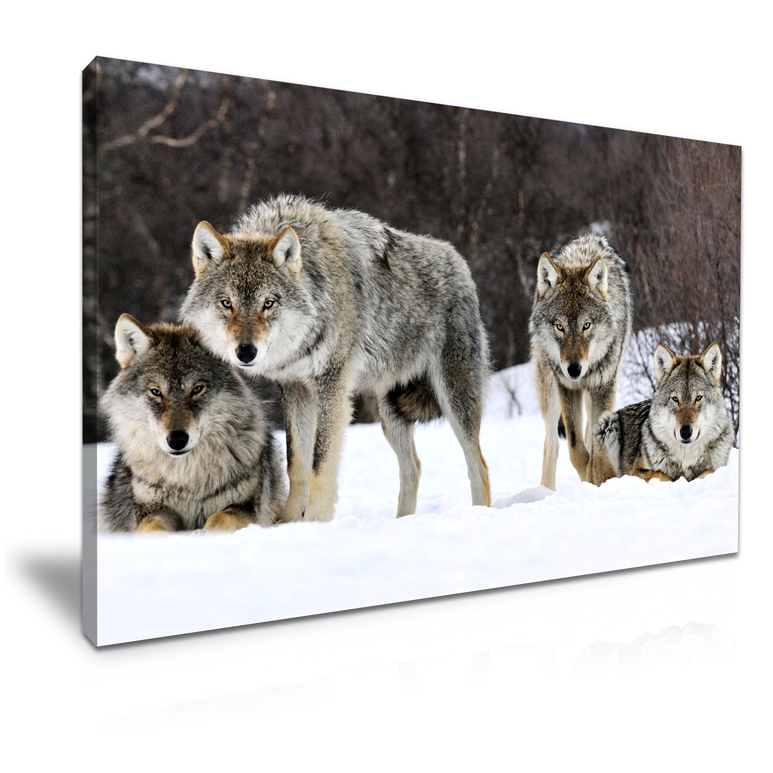 Wolves Snow Forest Canvas Wall Art Picture Print 76x50cm Home Decoration