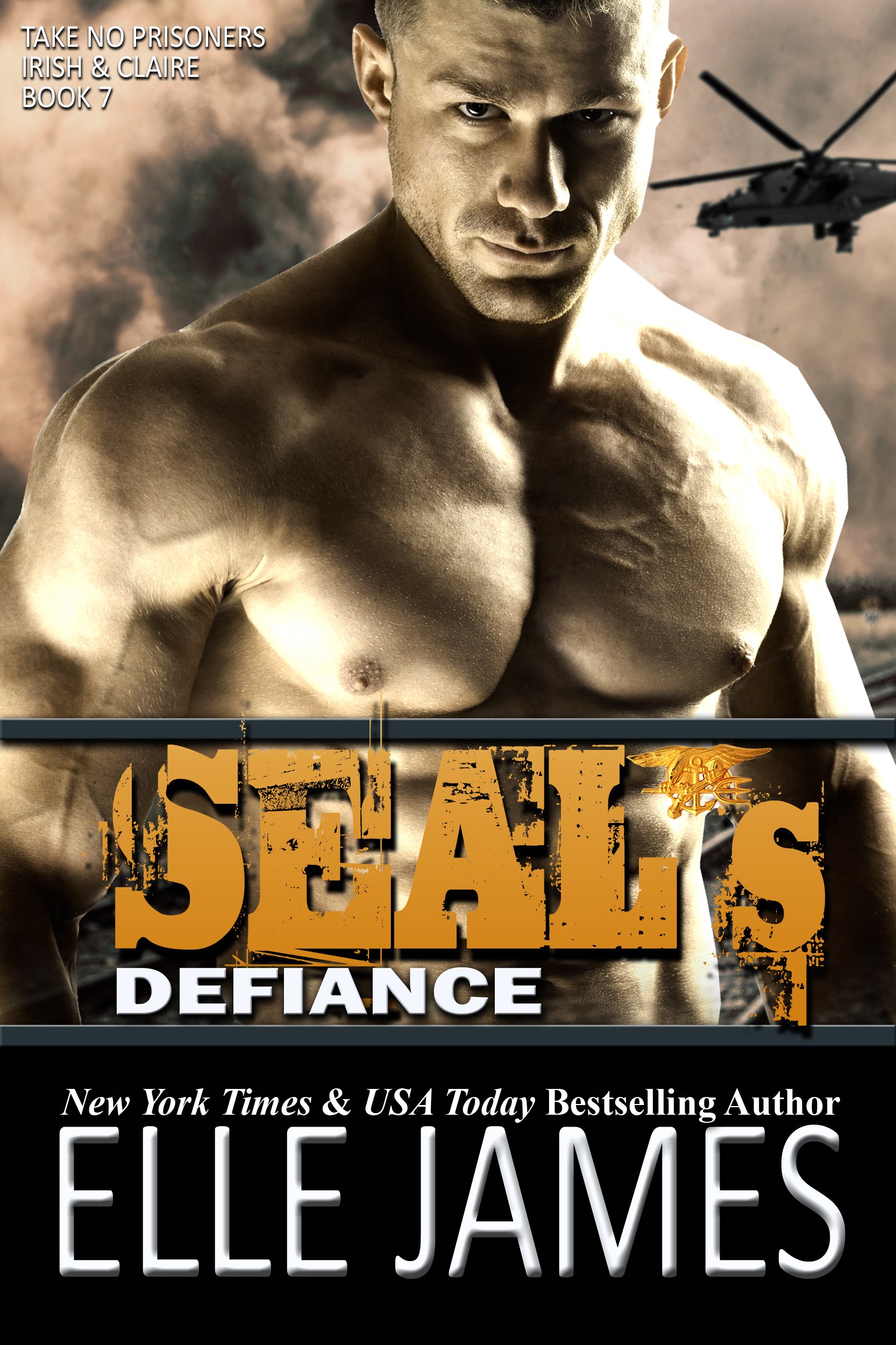 SEAL's Defiance (Take No Prisoners Book 7)