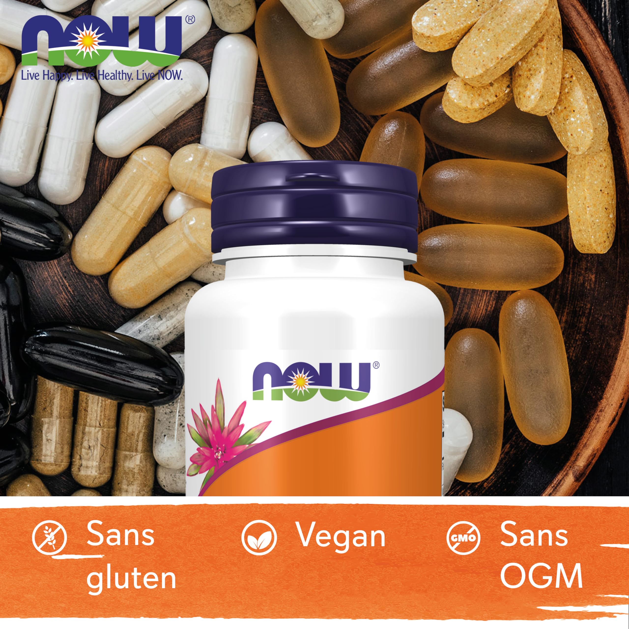 Now Foods, Folic Acid (Acide Folique), 800mcg, 250 Comprimés végétaliens, Testé en Laboratoire, Haute Dose, Vitamine B12, Sans Gluten, Sans Soja, Végétarien