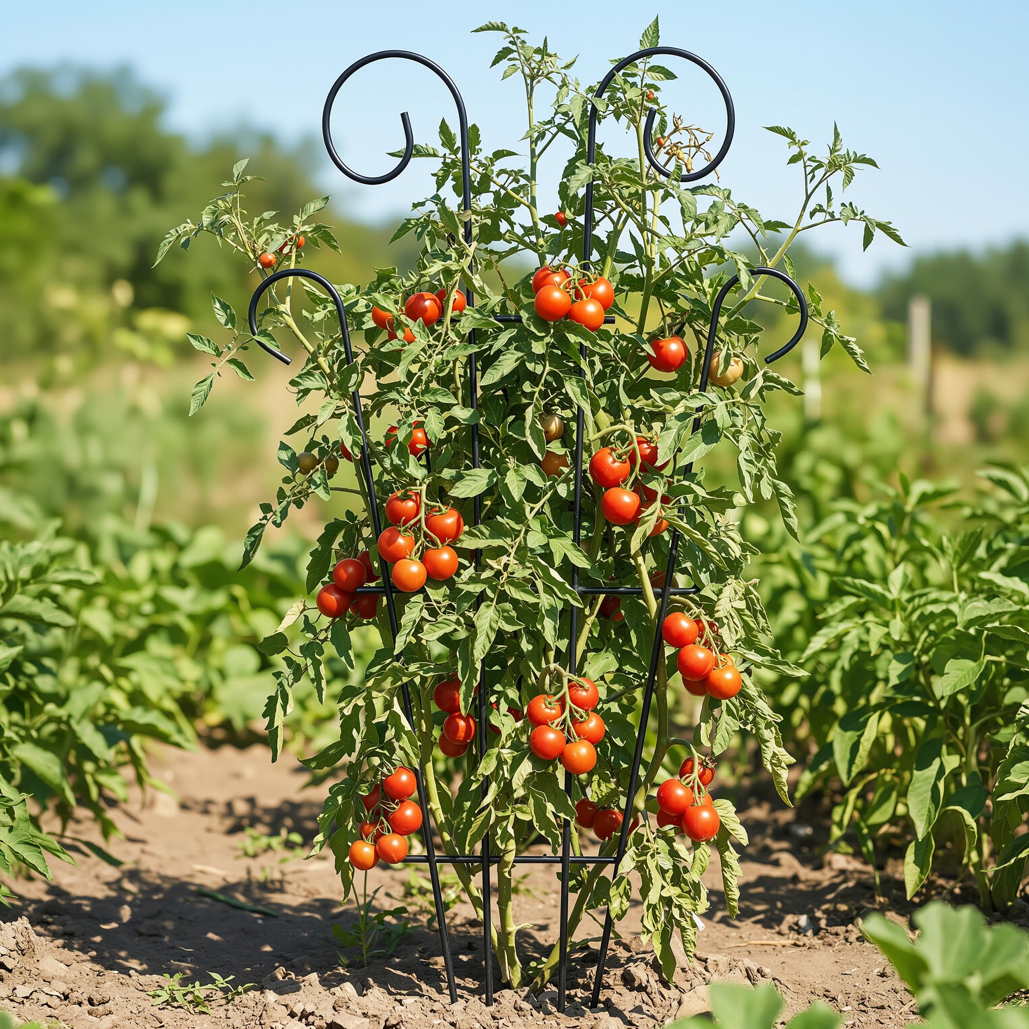 Thealyn 4 Pack 60cm/23.6 pollici Rampicante per Piante da Interno per Piante in Vaso, Rampicante da Giardino in Metallo per Piante d'appartamento Fiori Vite Edera a Onde, Nero