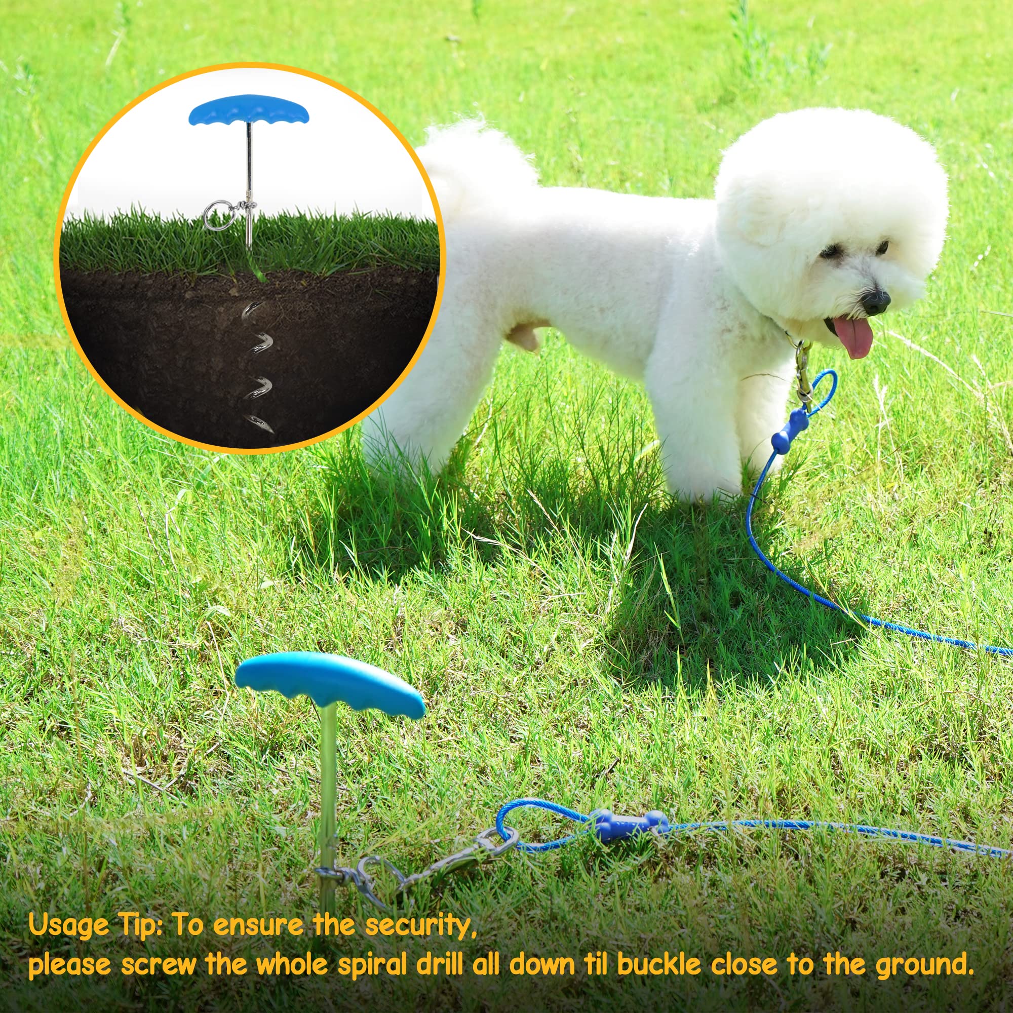 Petphabt - Cavo resistente per cani da 3 m, con spirale per cani da 16 cm, per cuccioli, animali domestici, guinzaglio per esterni (verde acqua)