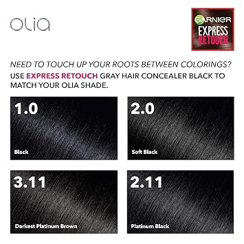 Garnier Hair Color Express Retouch Gray Hair Concealer, Instant Gray Coverage, Black, 1 Count