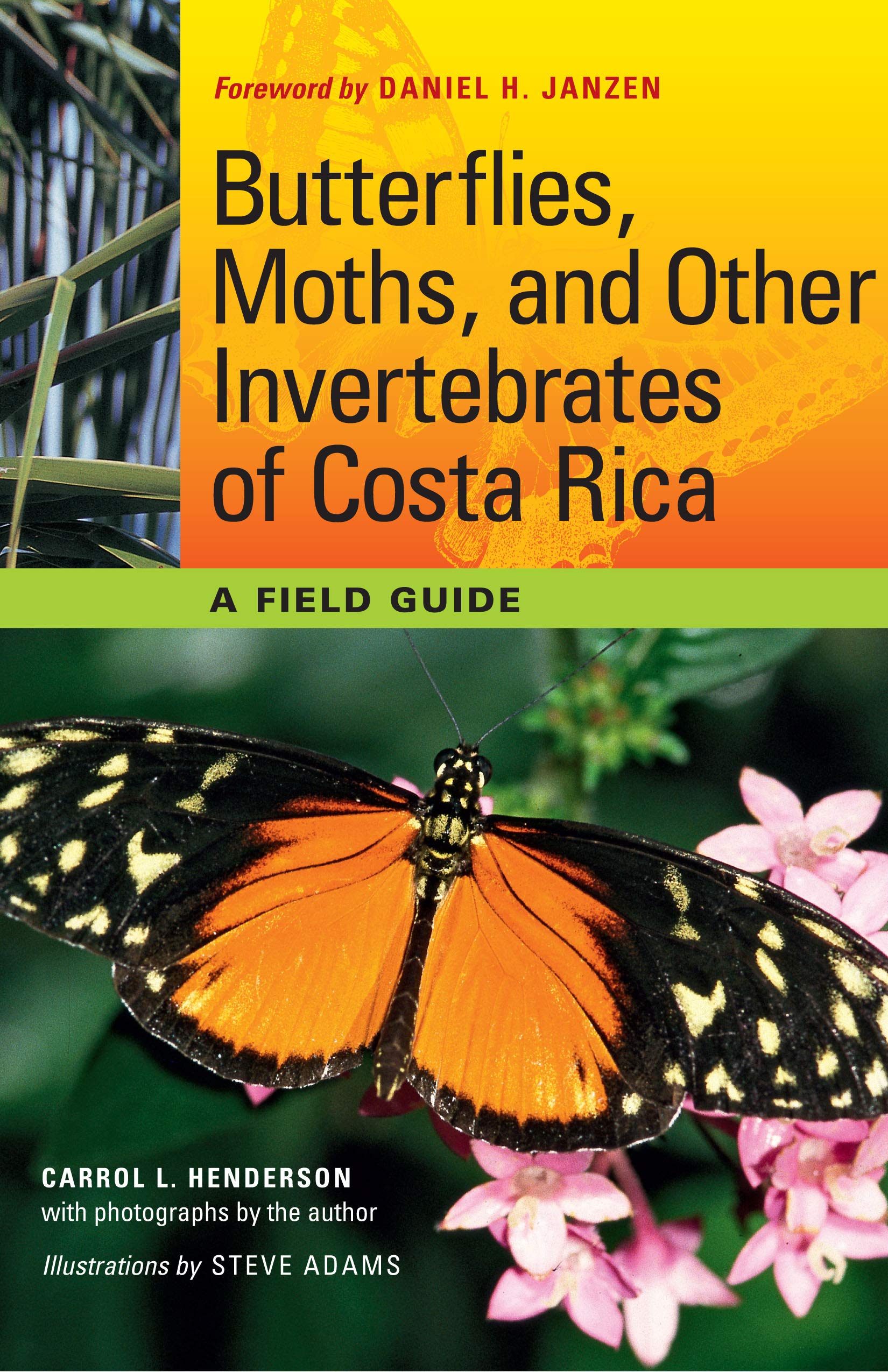 Butterflies, Moths, and Other Invertebrates of Costa Rica by Carrol L. Henderson