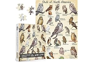 Owl Puzzles for Adults 1000 Pieces: Immerse Yourself in the Beauty of Nocturnal Wonders