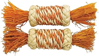 Rosewood Boredom Breaker Small Animal Activity Toy Corn Rattle Rollers, Pack of 2 product image