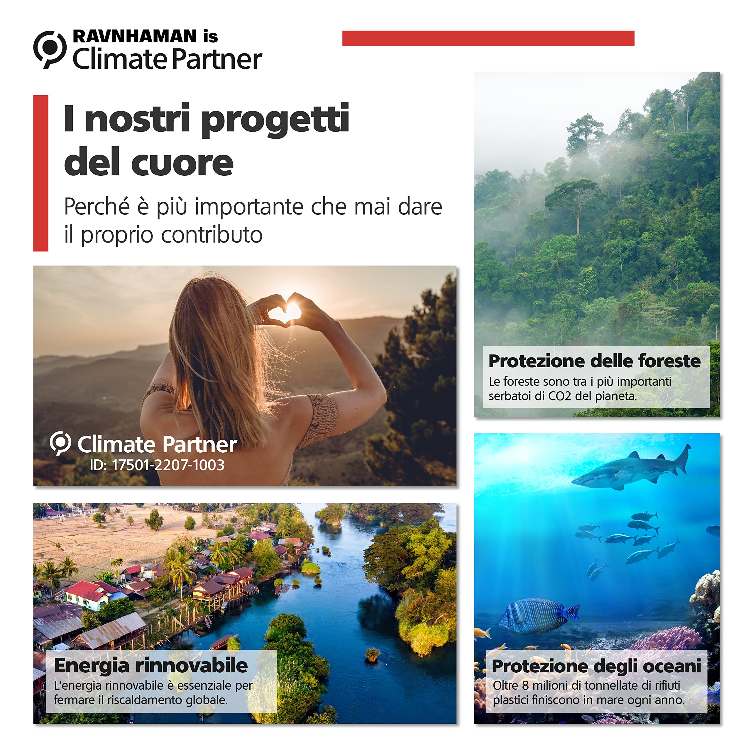 RAVN HAMAN Chiave per riscaldamento con contenitore di raccolta | pratica chiave di spurgo per radiatori | per tutti i radiatori più comuni