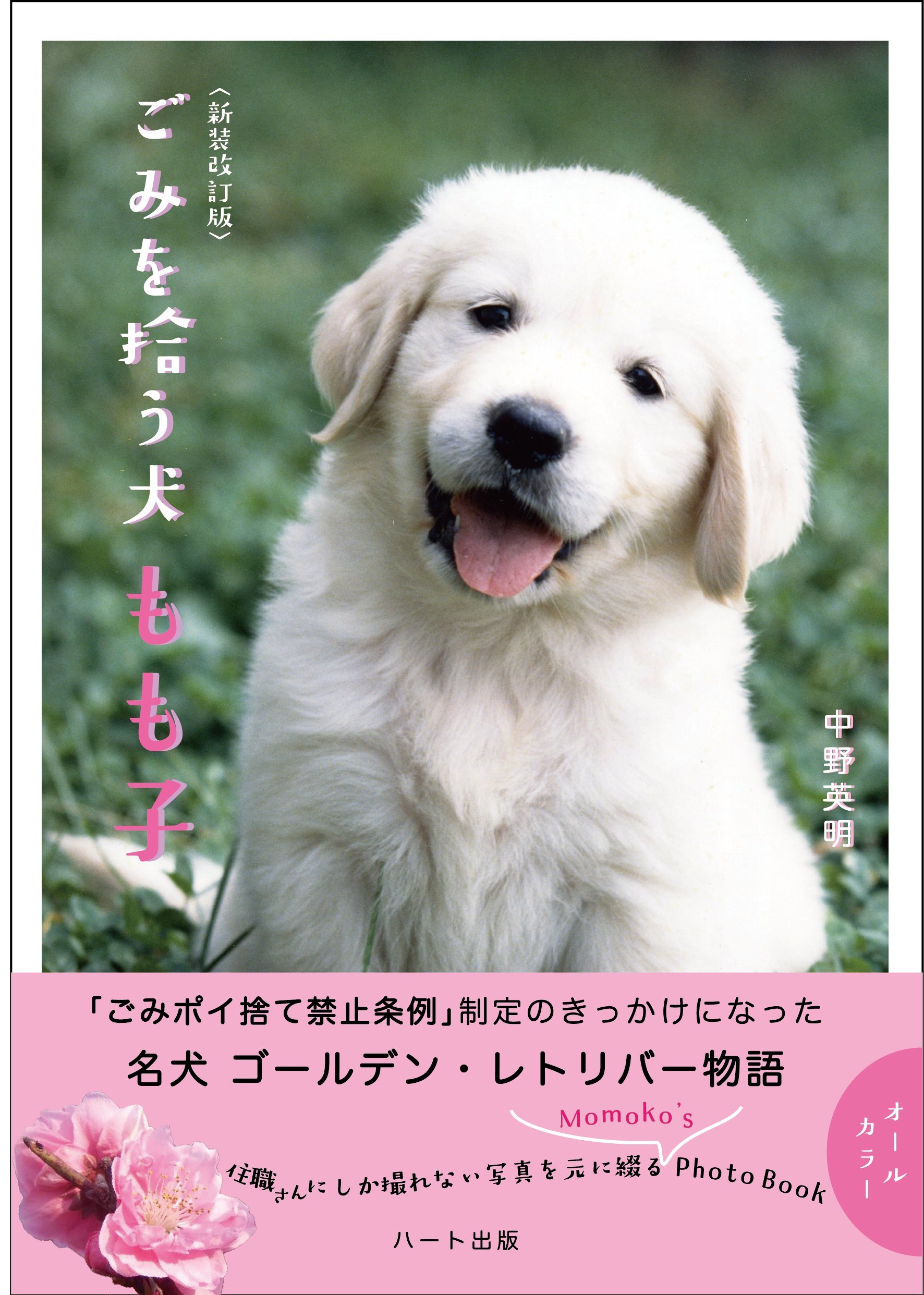 ごみを拾う犬もも子 新装改訂版 | 中野 英明 |本 | 通販 | Amazon