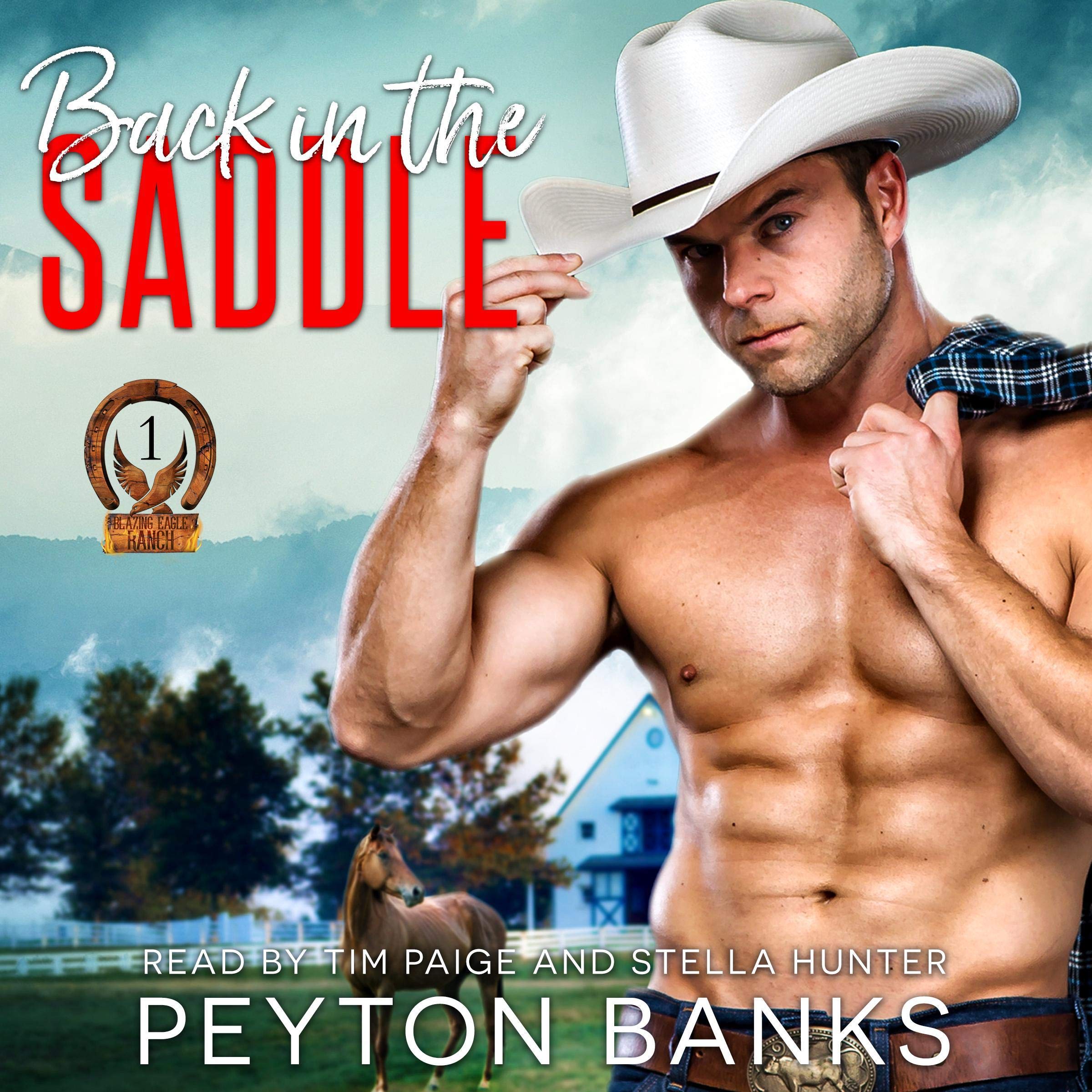 Cover art for Back in the Saddle: Blazing Eagle Ranch, Book 1