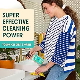 Aunt Fannie\'s Whole Home Cleaning Bundle: All Purpose Spray, Floor Cleaner, Glass & Window Cleaner, Multi-Surface Wipes, Carpet Refresher