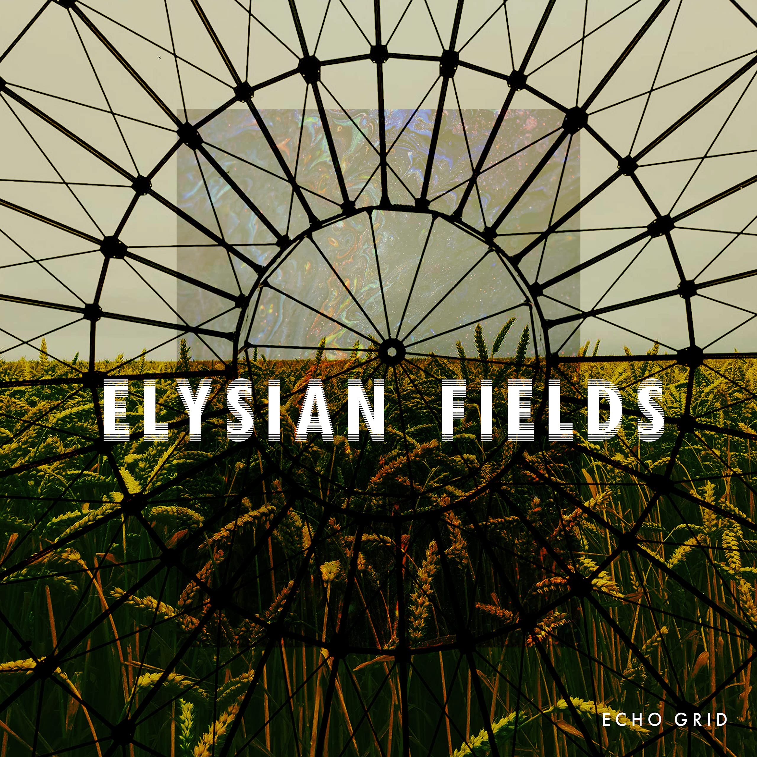 Echo Grid