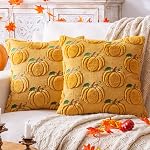 Pompe d'automne Couvertures d'oreillers à jet orange 18x18, Ensemble de 2 Décorations d'Action de grâces d ́Halloween Oreillers à l ́automne intérieur pour les fêtes de canapé Couch